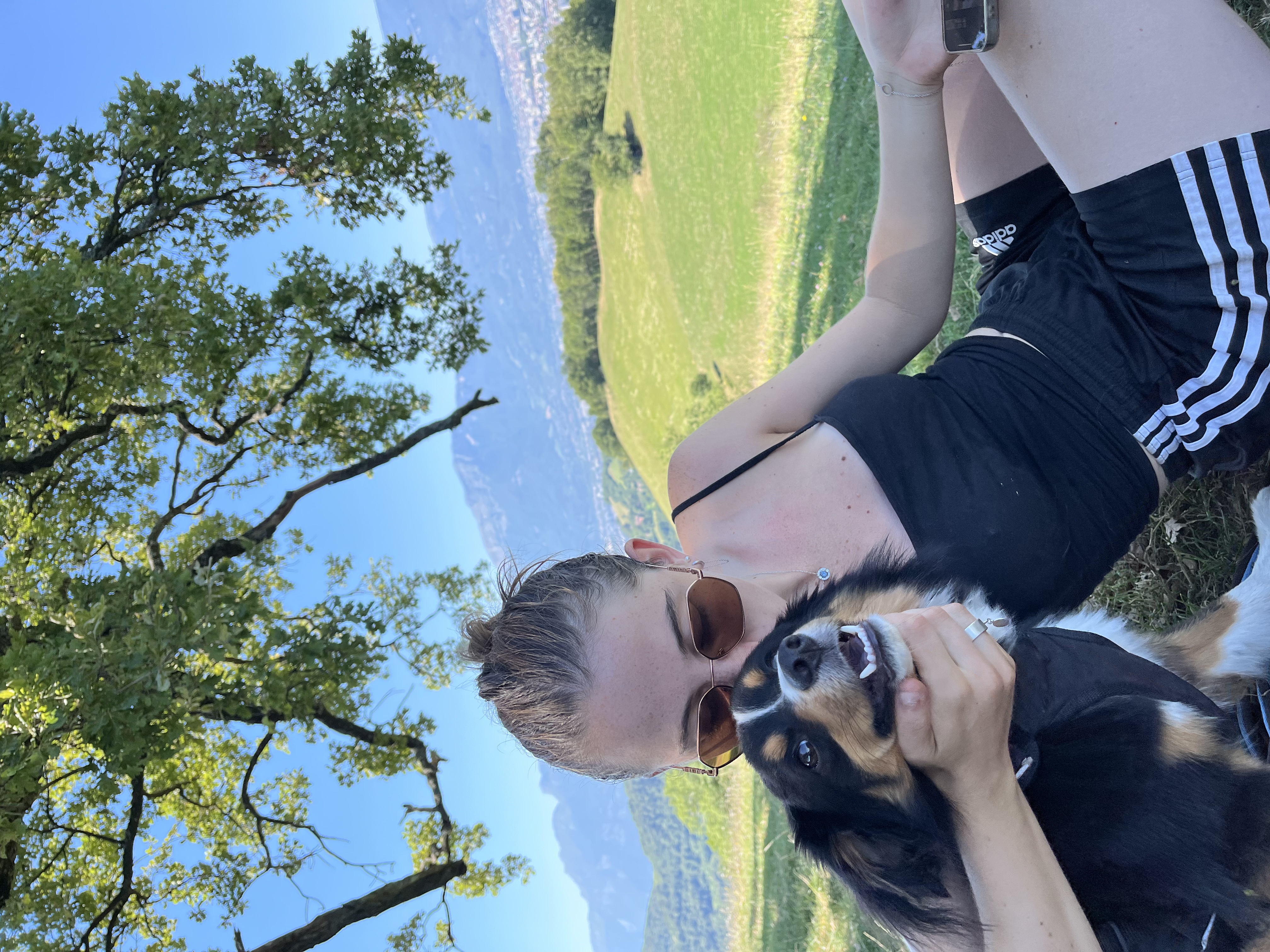 image-7