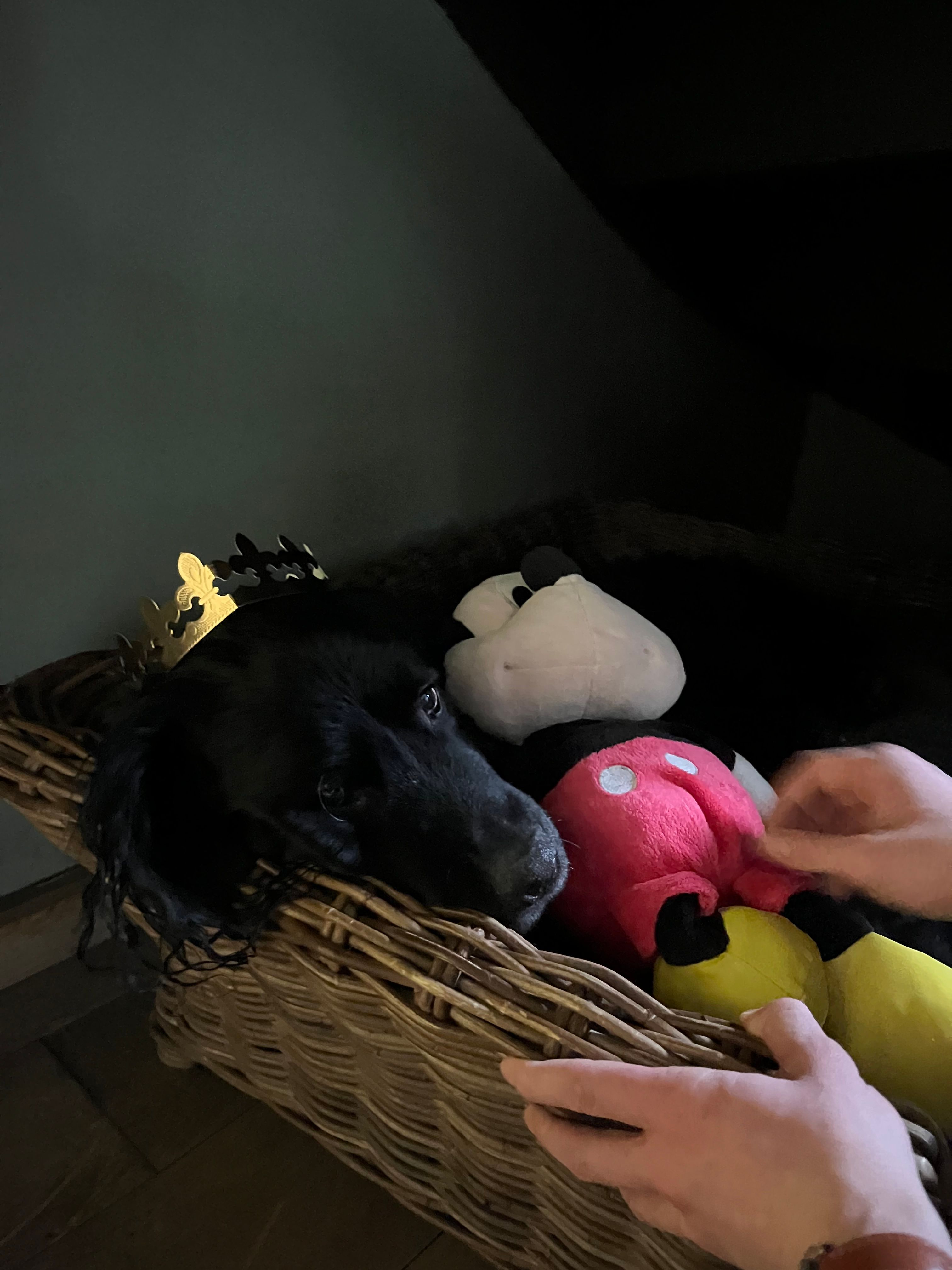 image-7