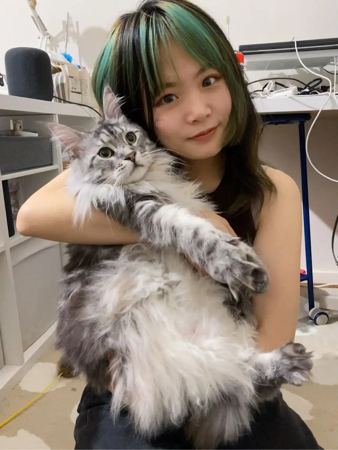 image-6