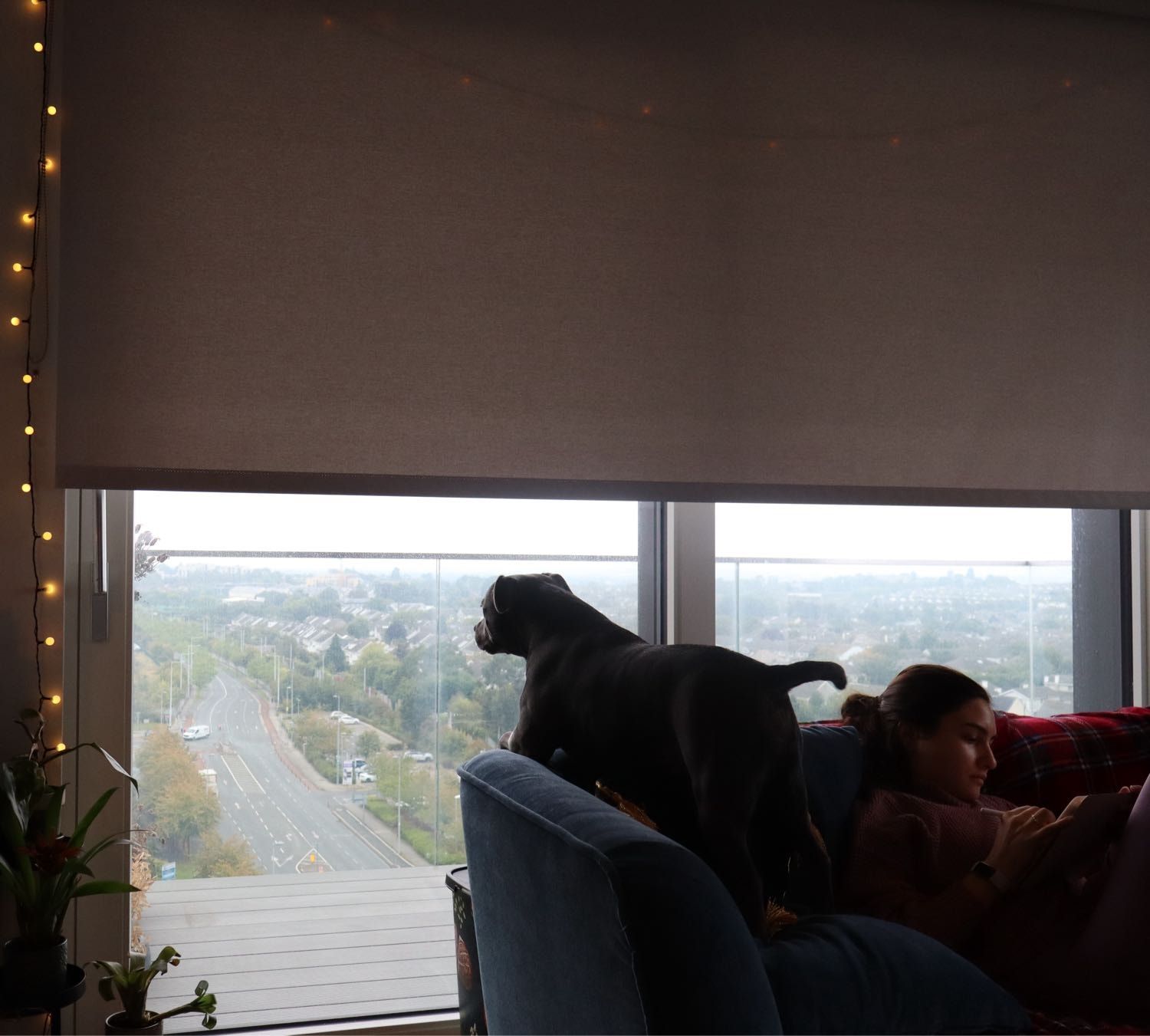 image-11