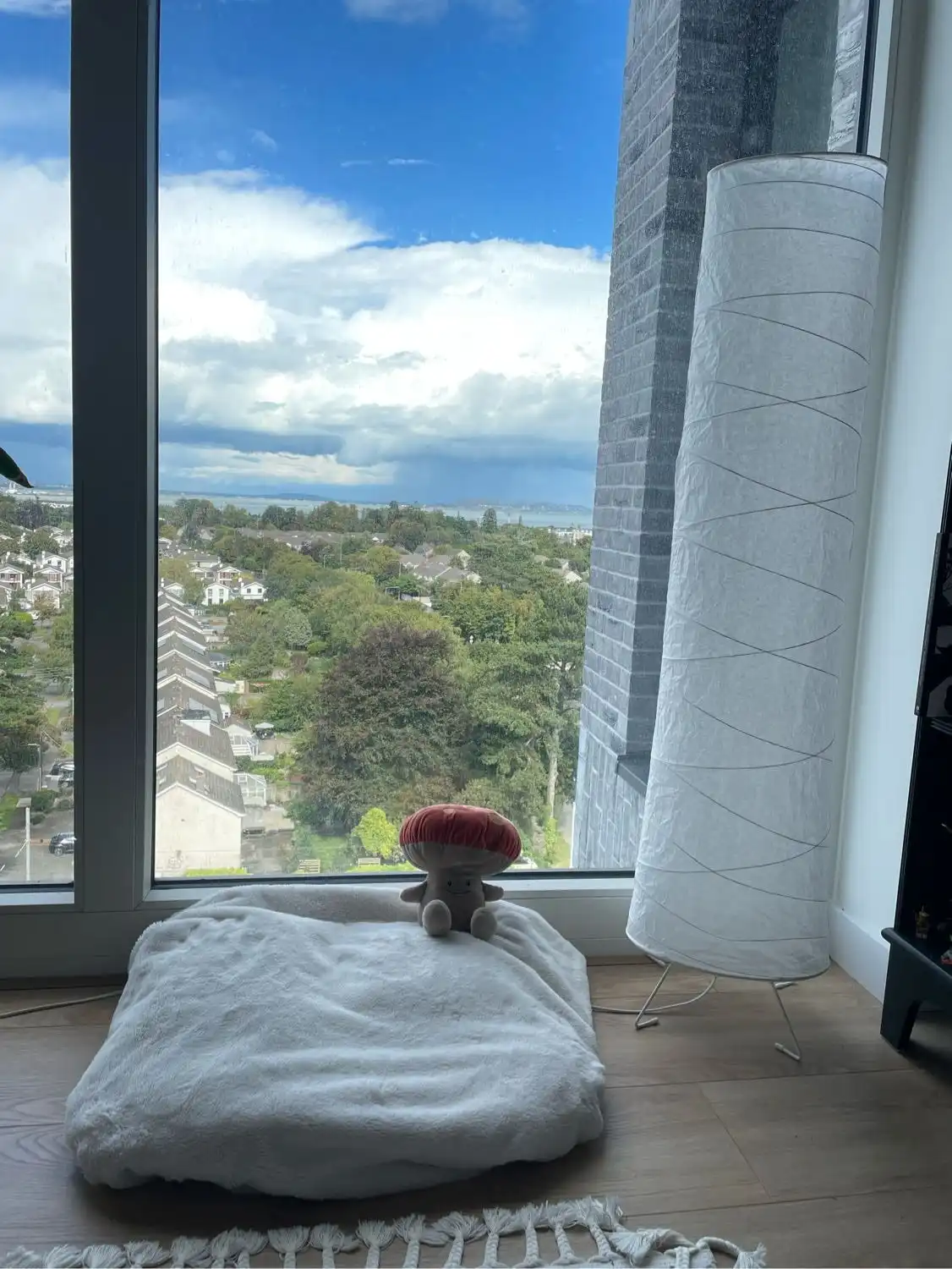 image-6