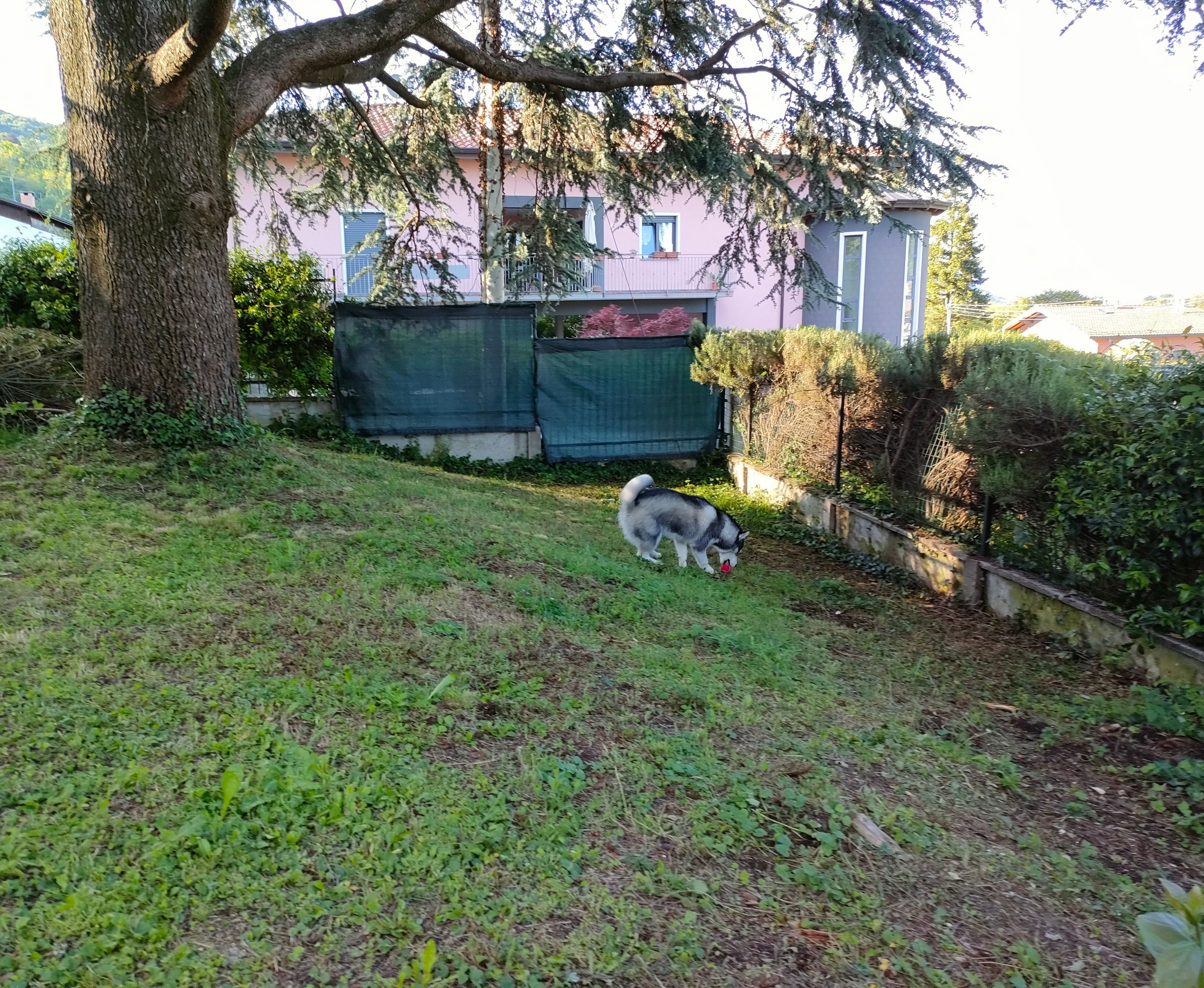 image-7