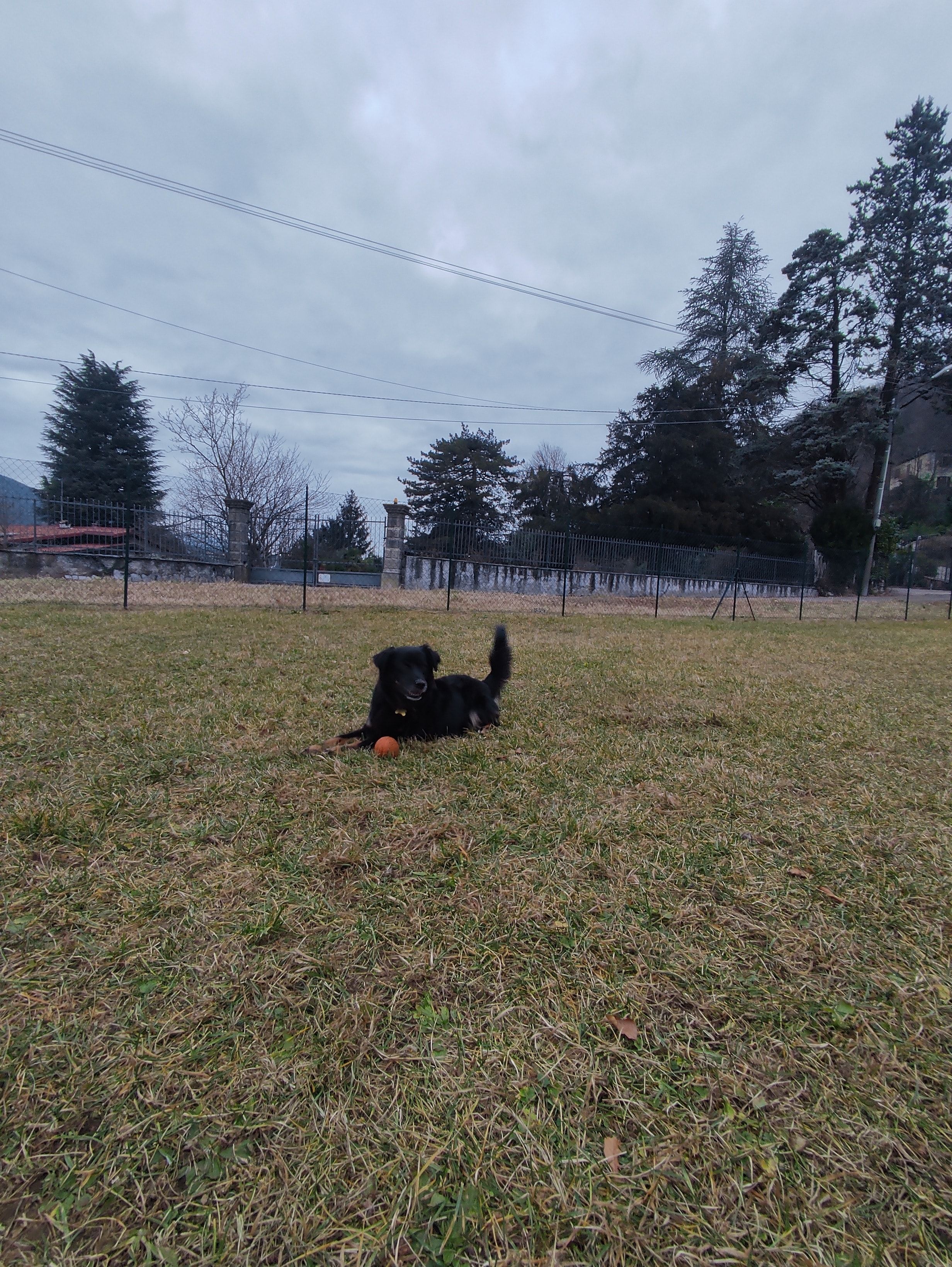 image-4
