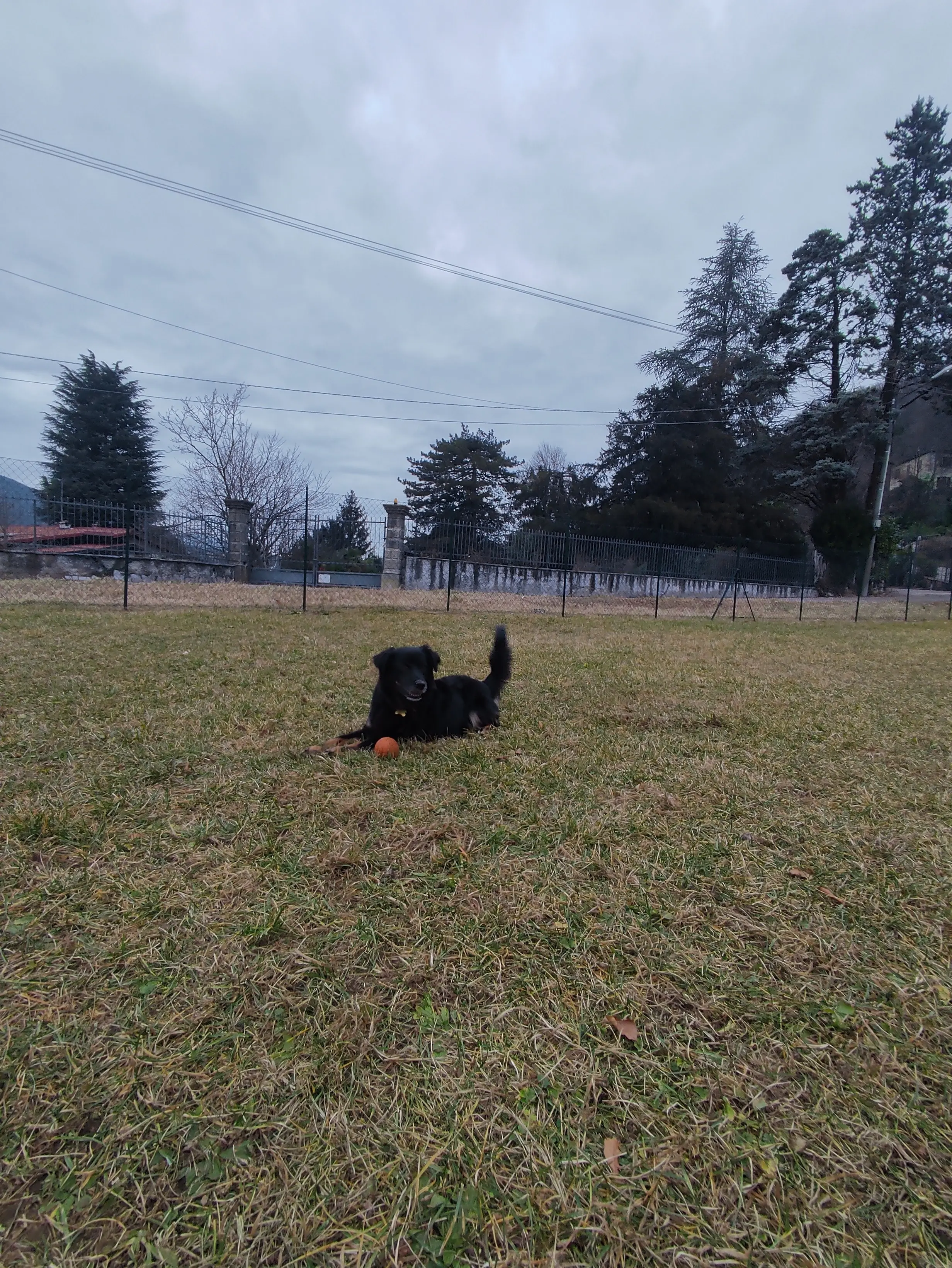 image-4