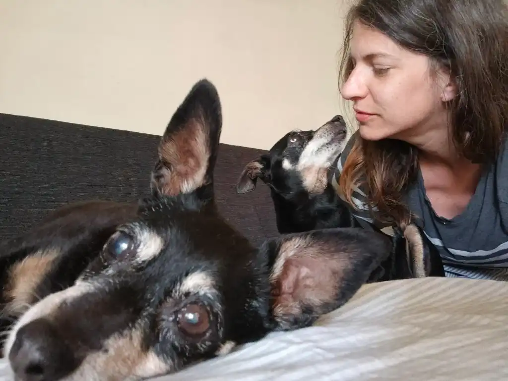 image-8