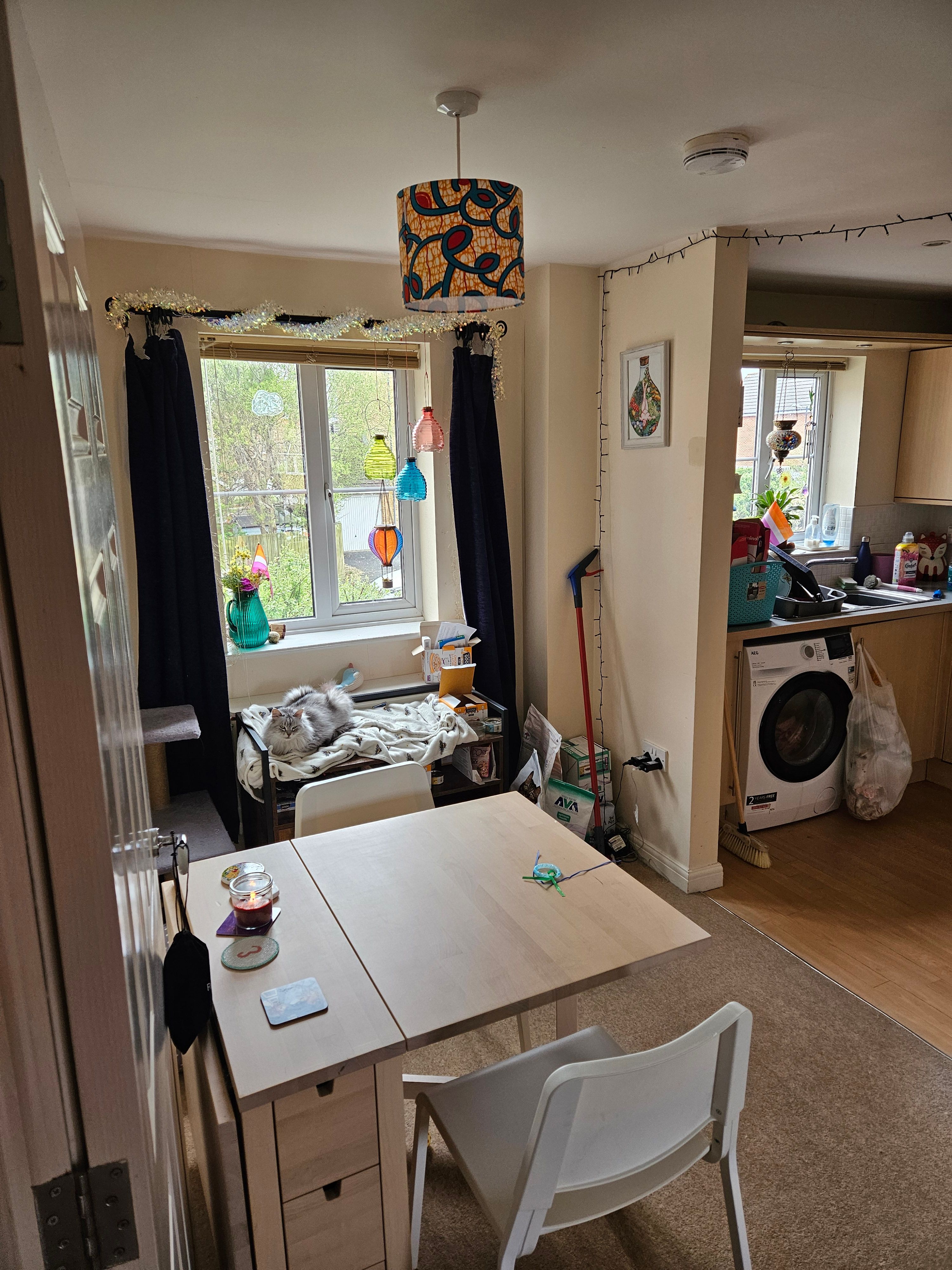 image-19