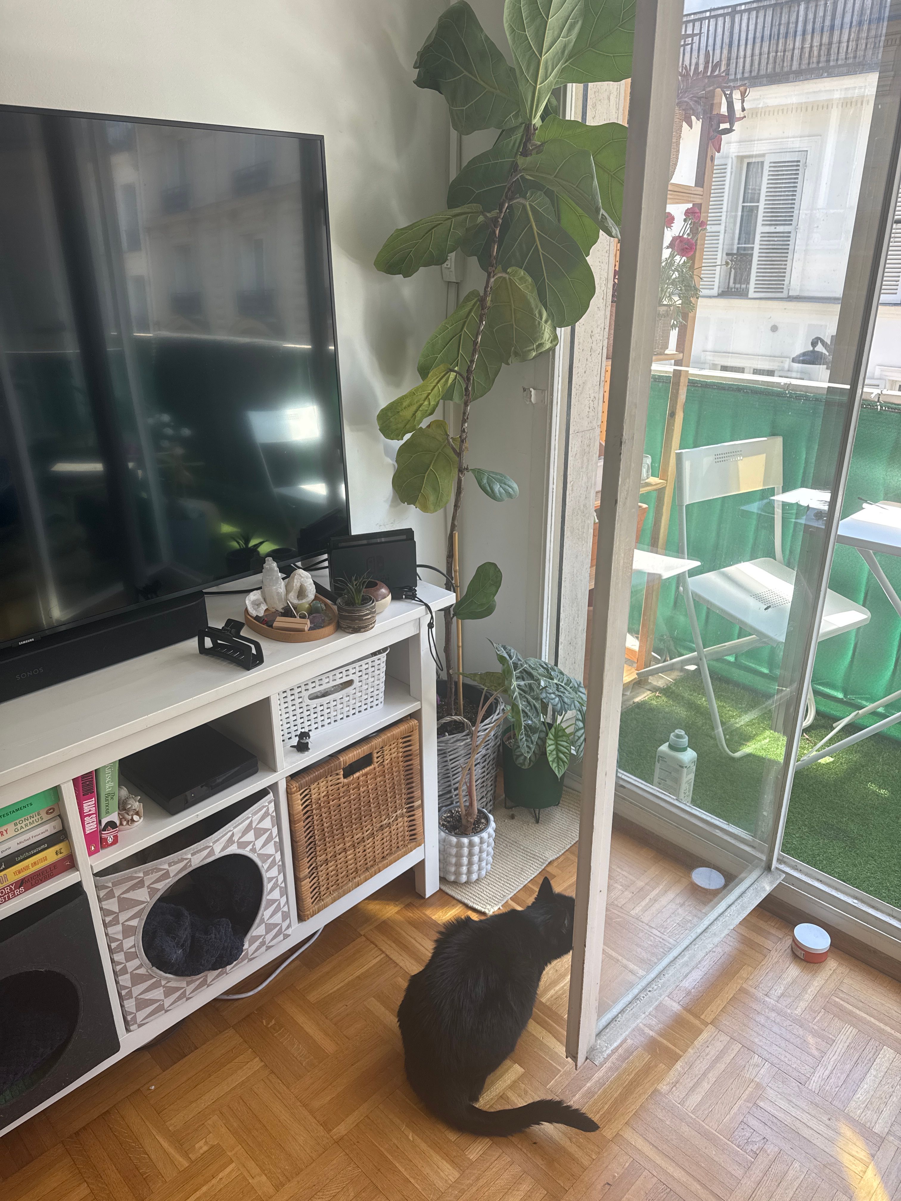 image-13