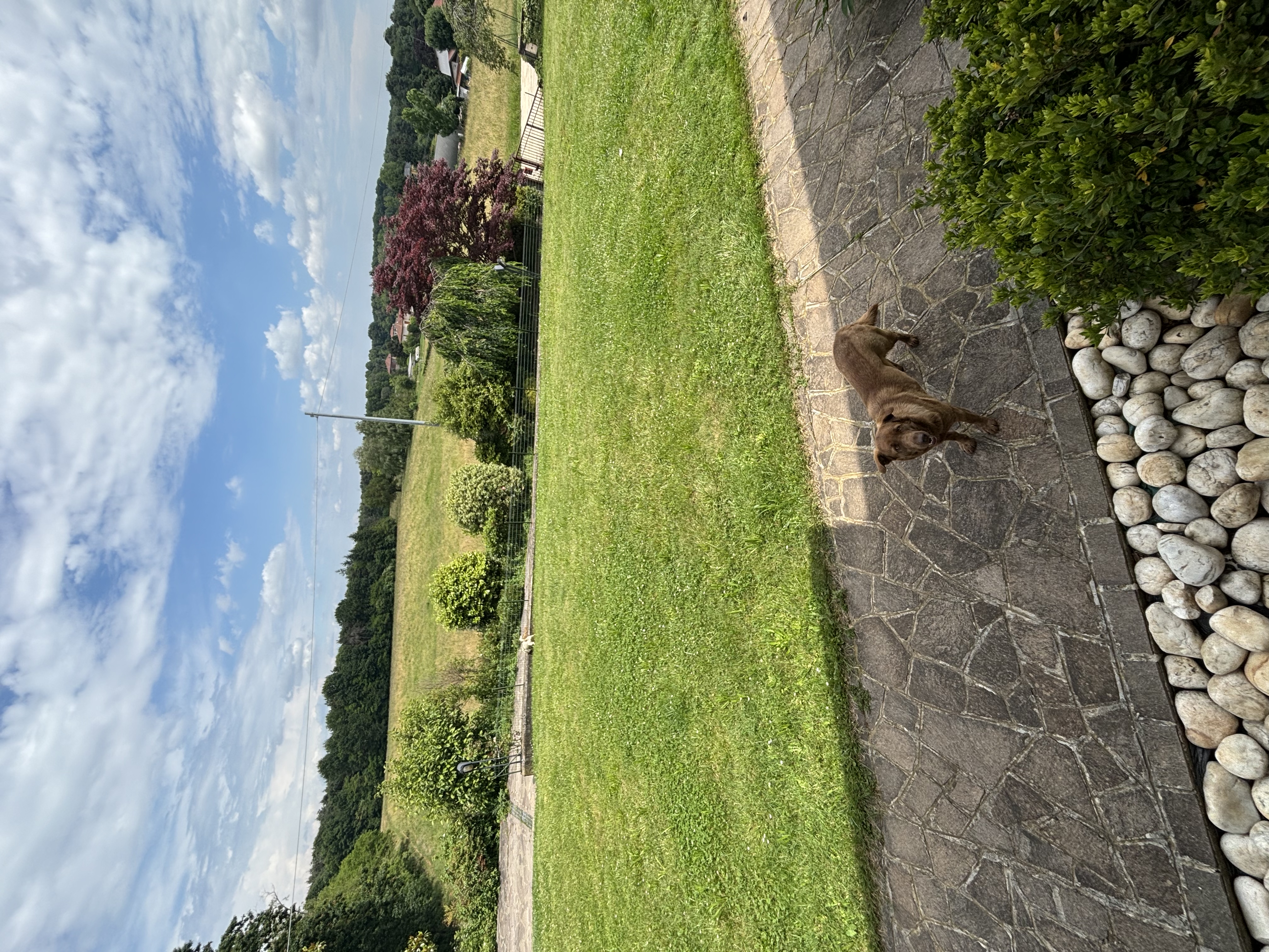 image-16