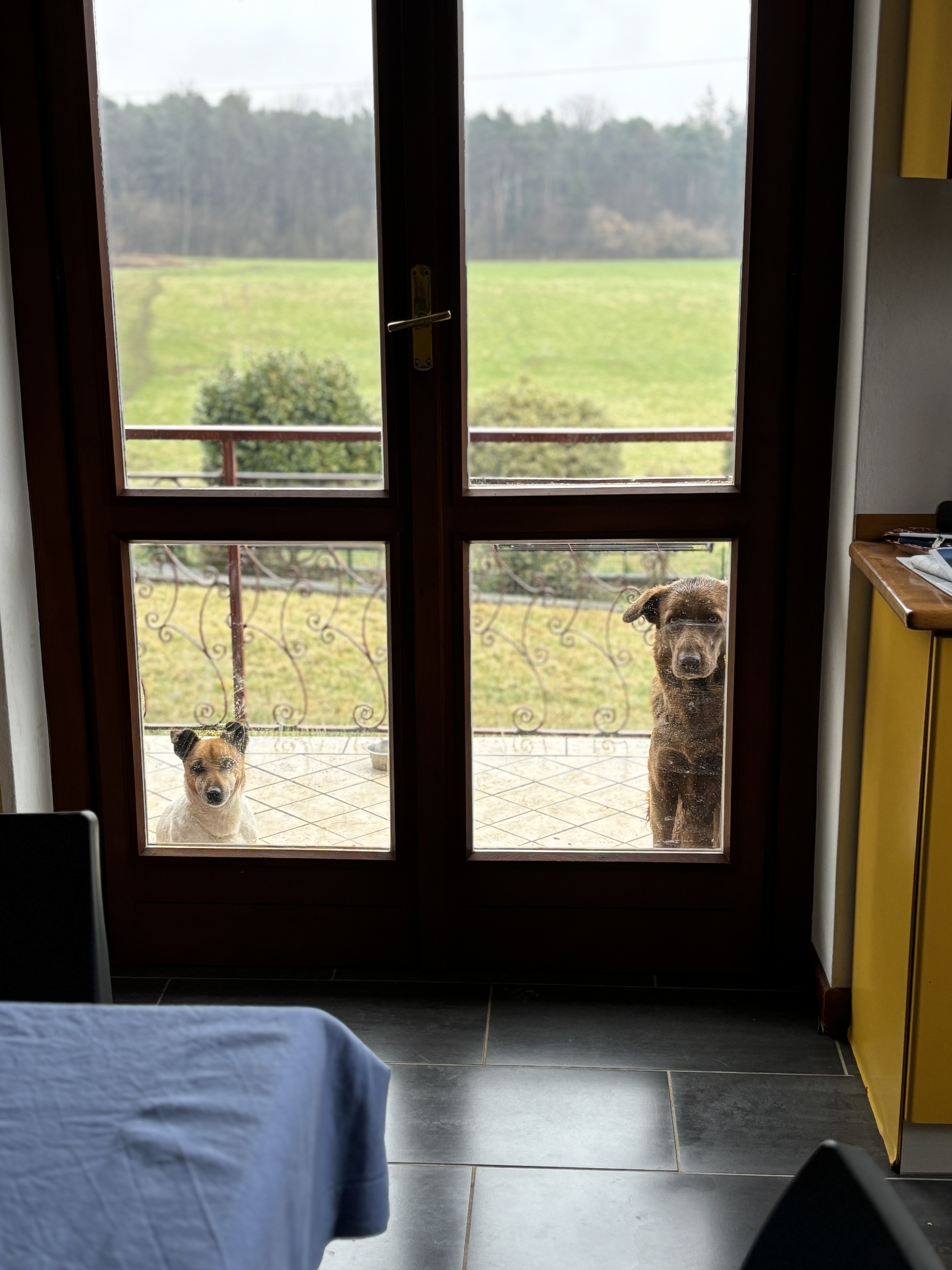 image-19