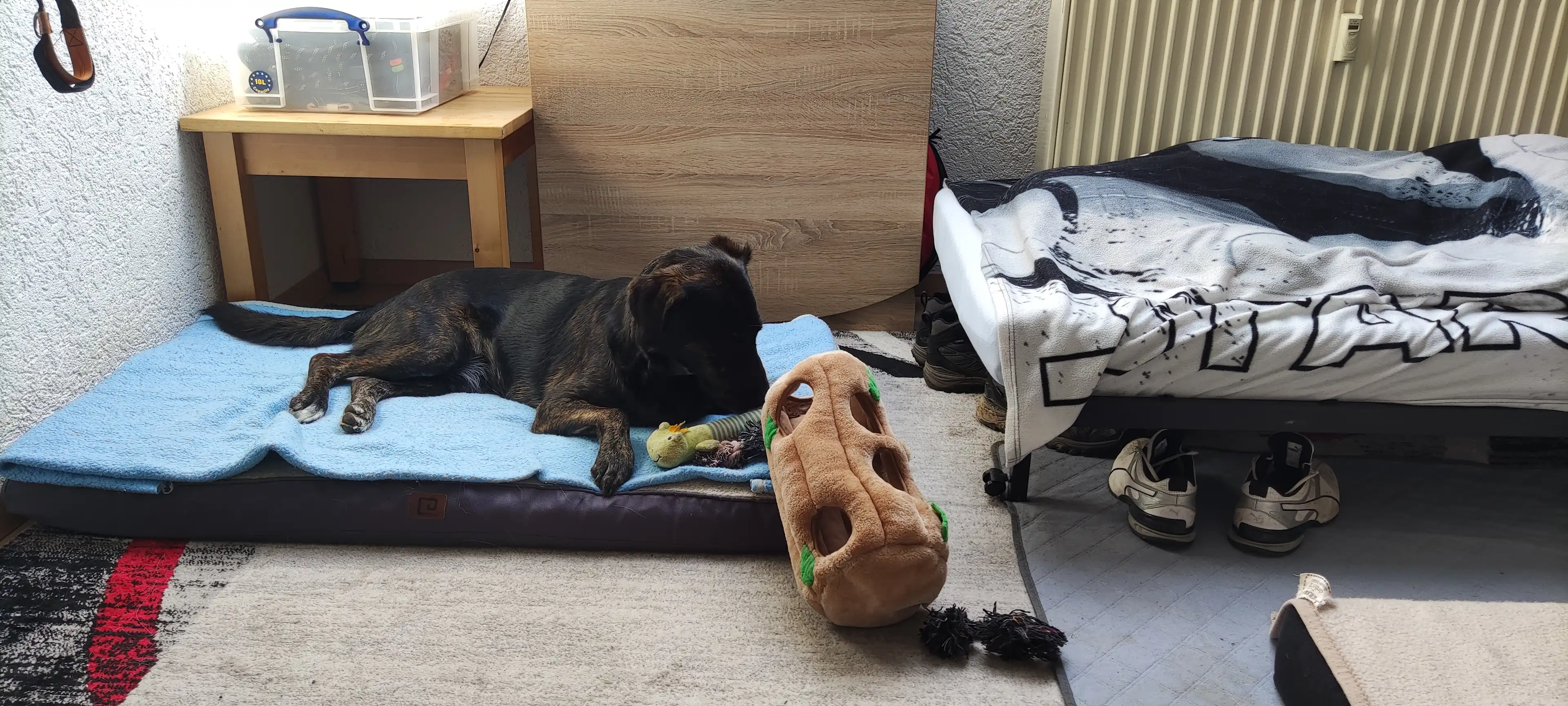 image-10