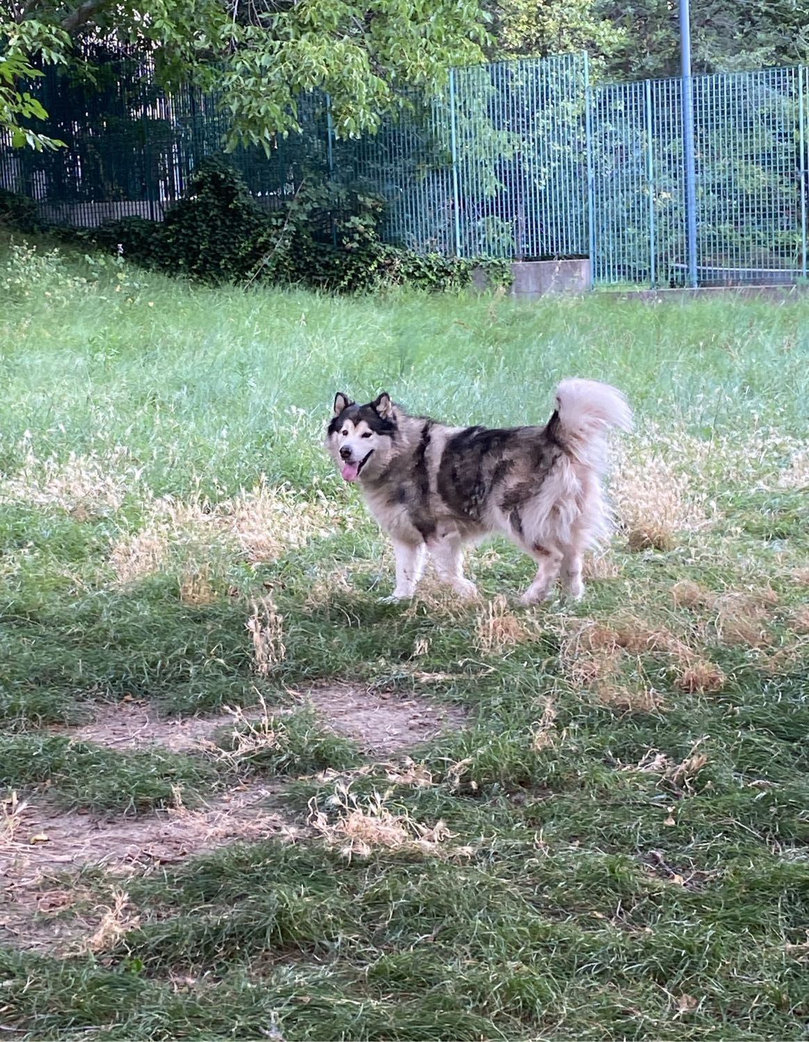 image-8
