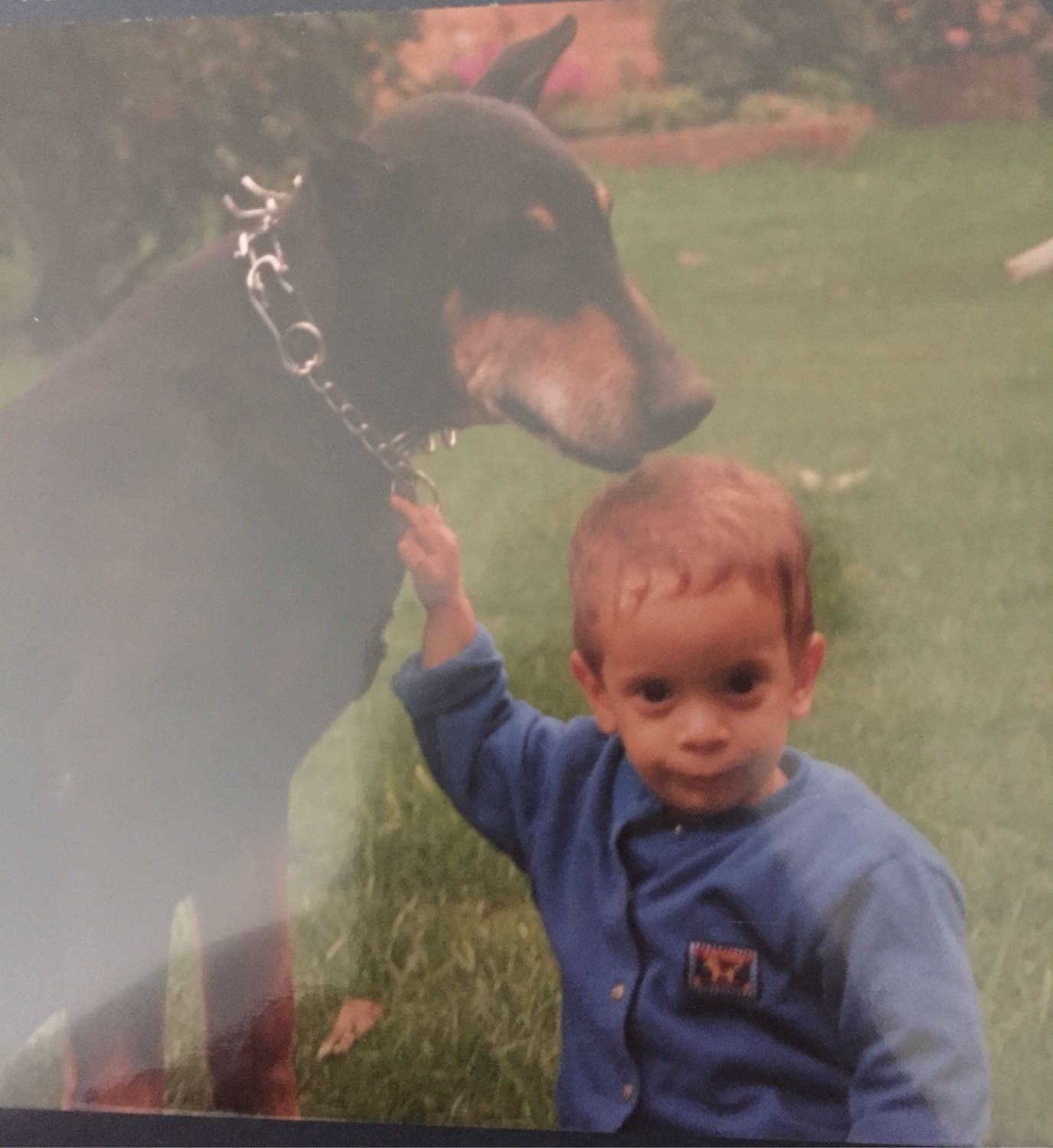 image-5