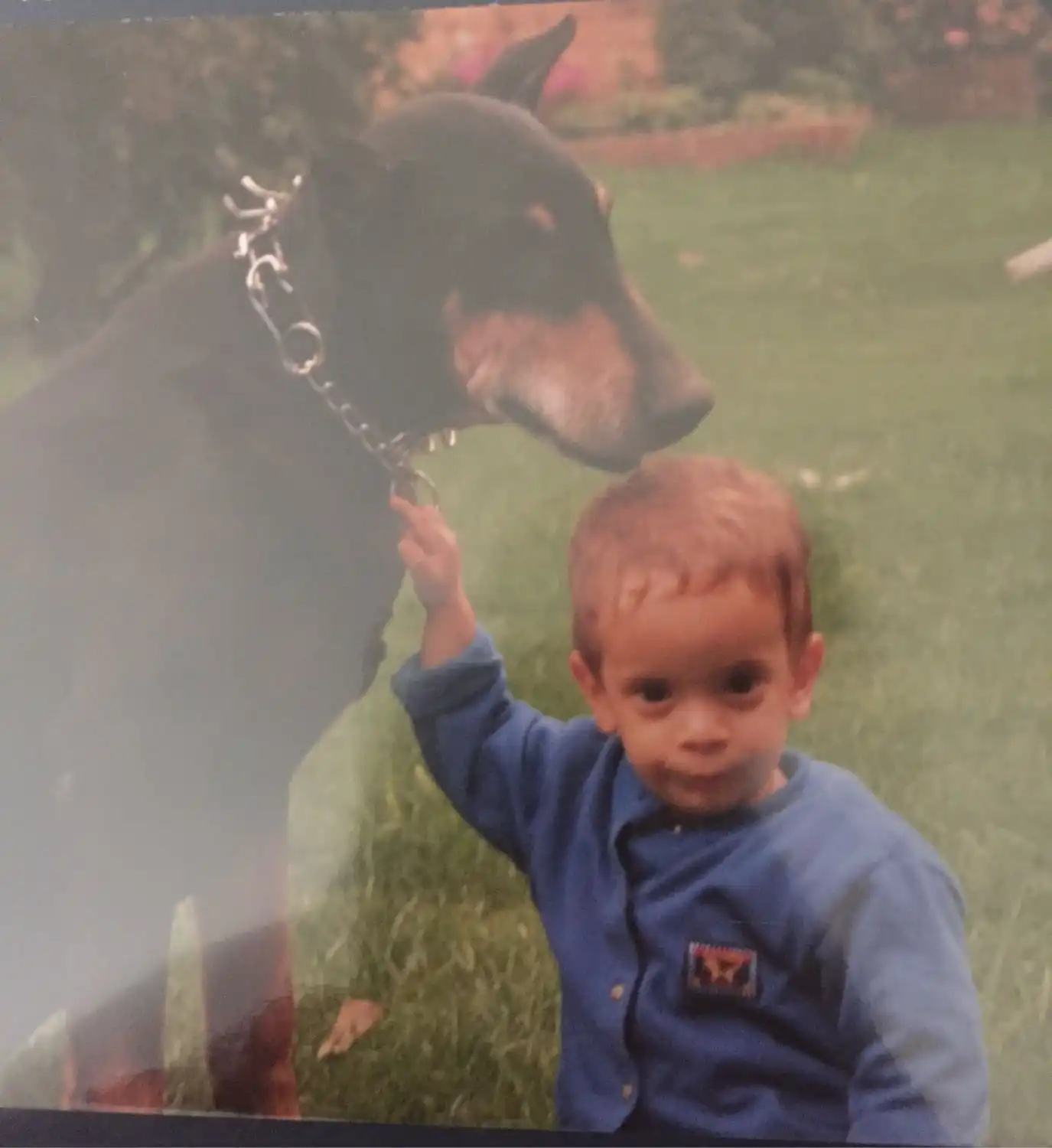 image-5