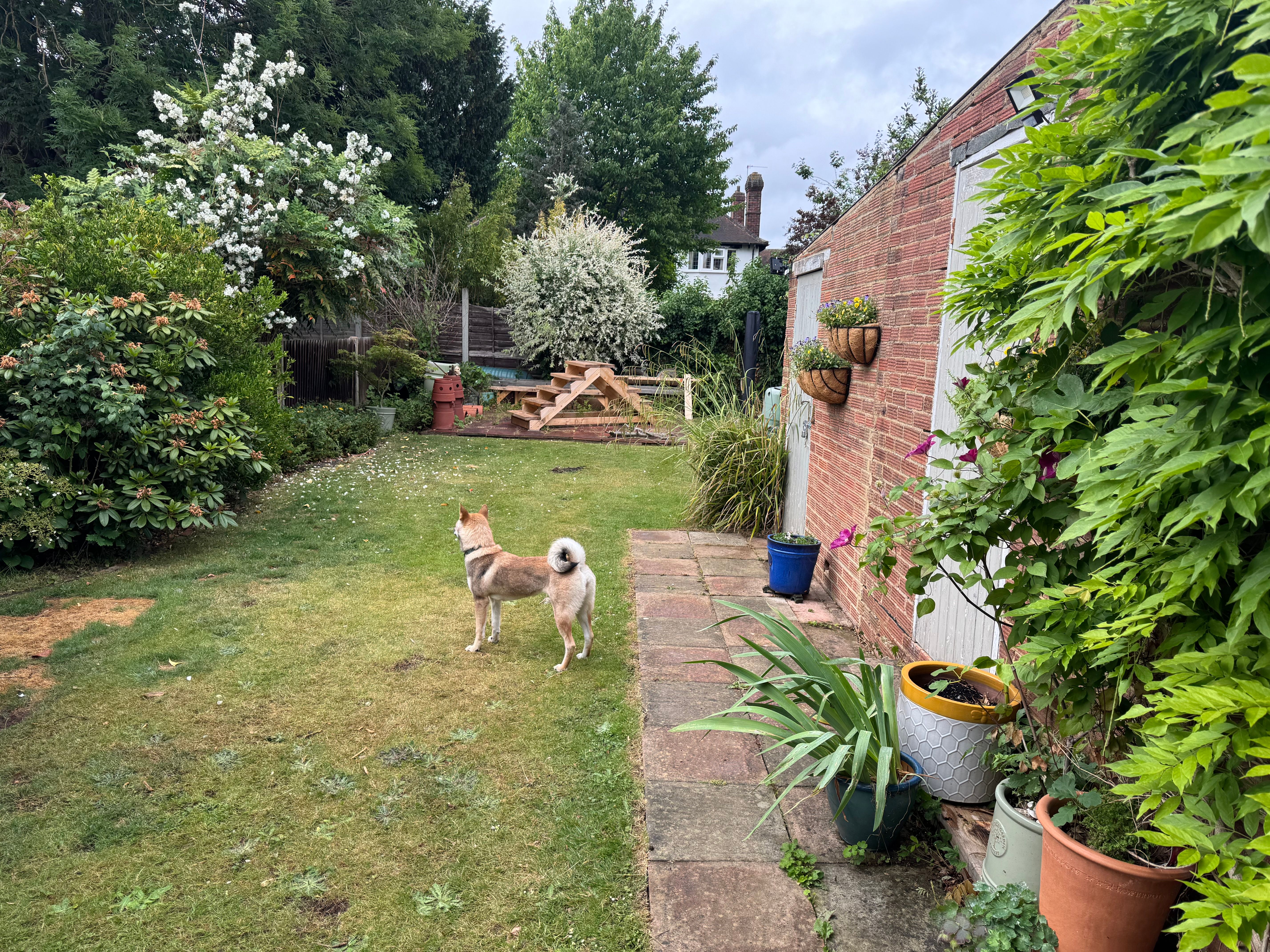 image-21