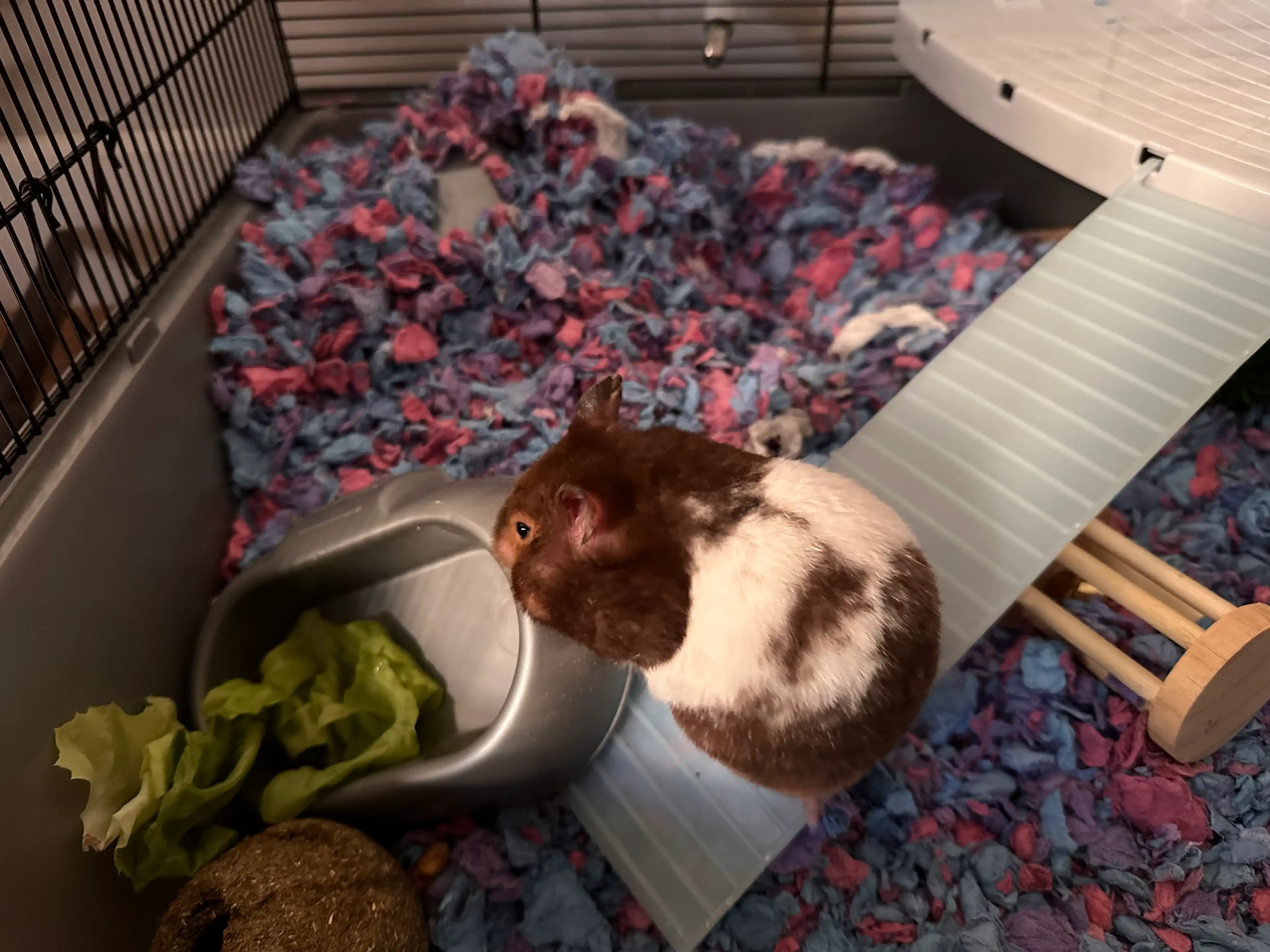 image-11