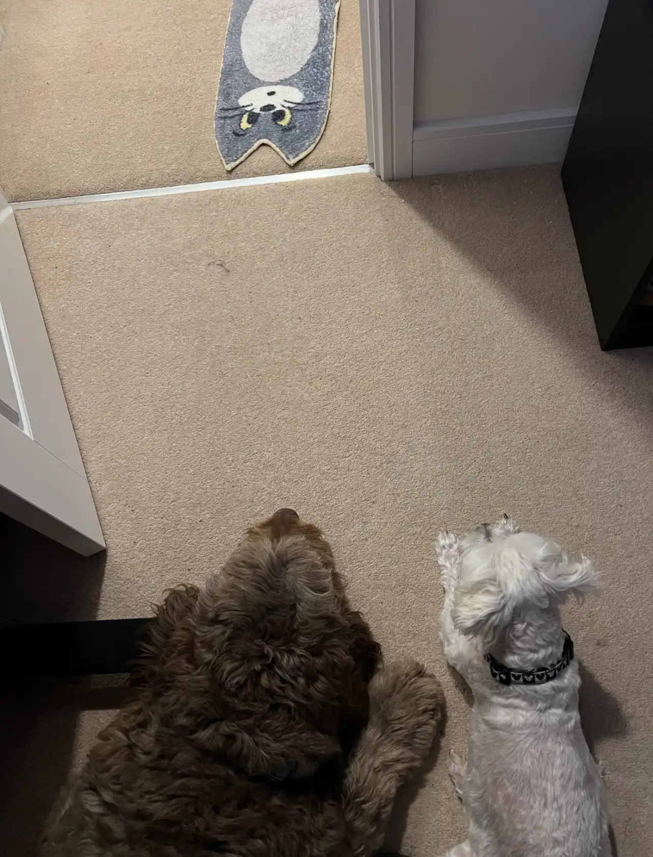 image-16