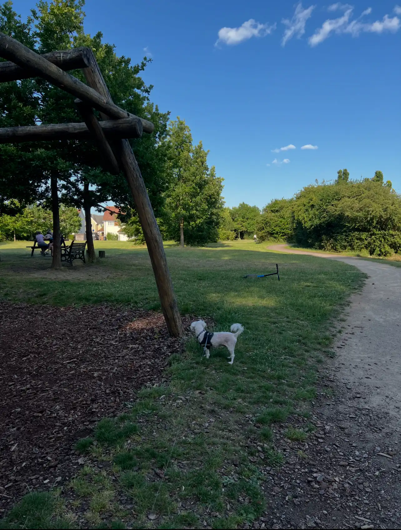 image-13