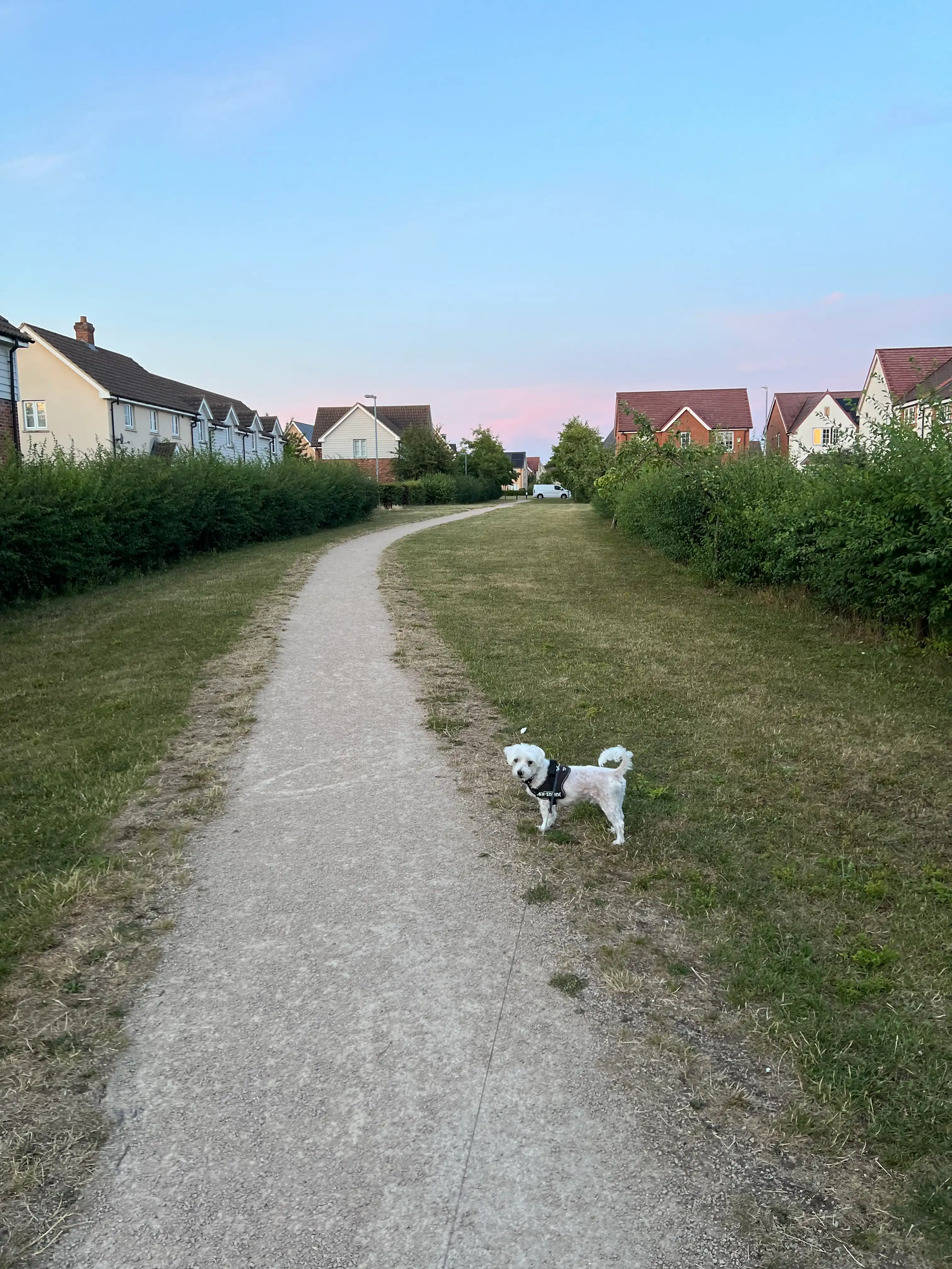 image-17
