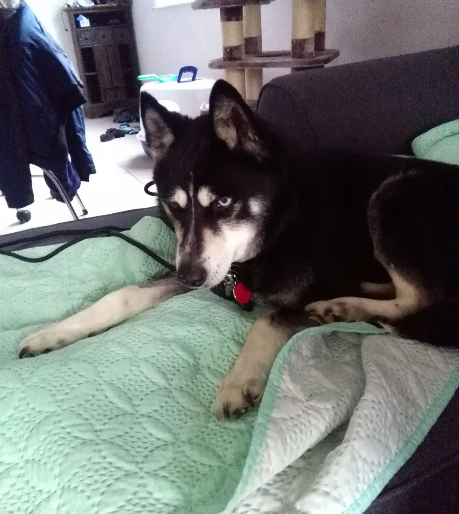 image-8
