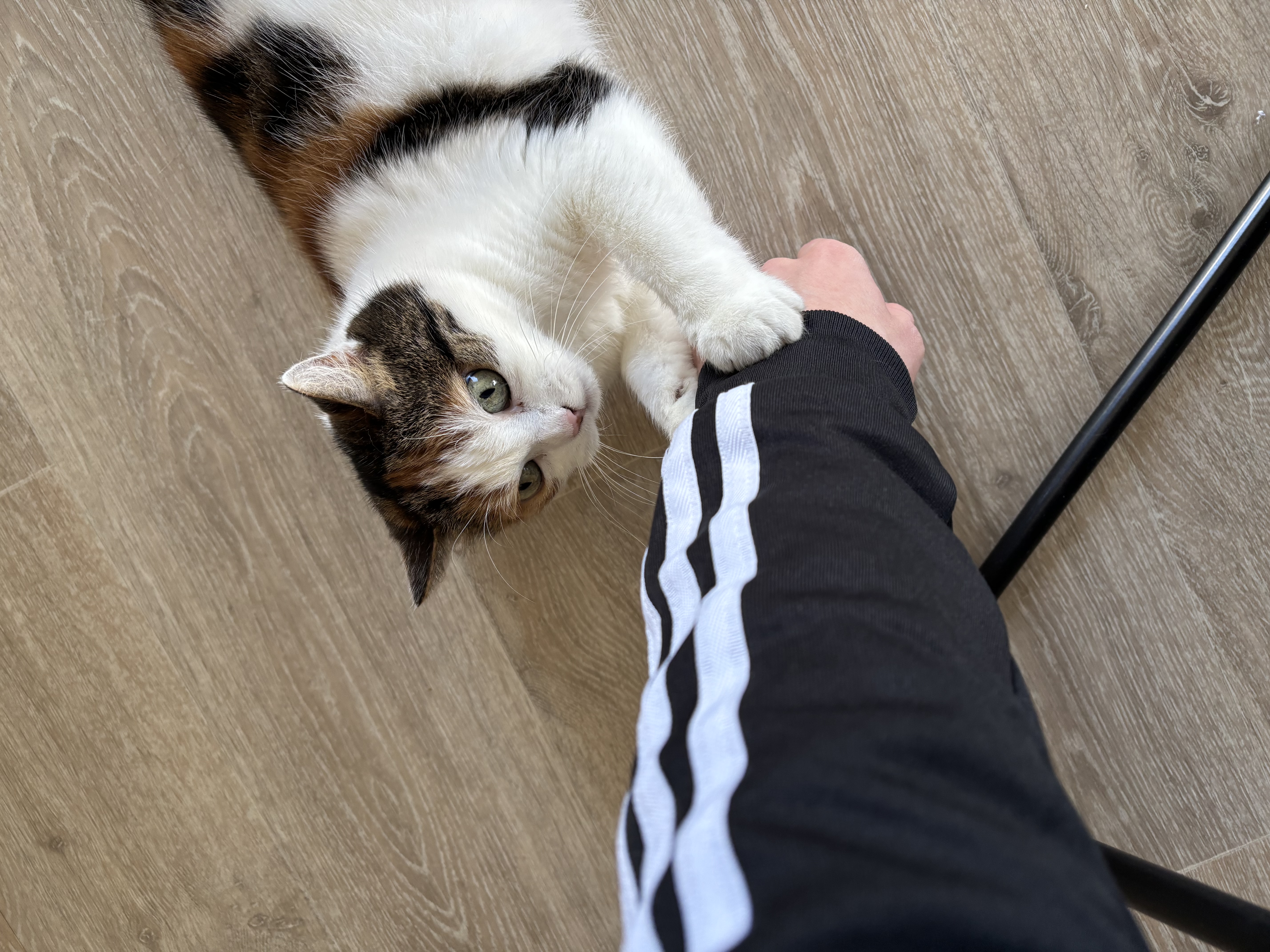 image-6