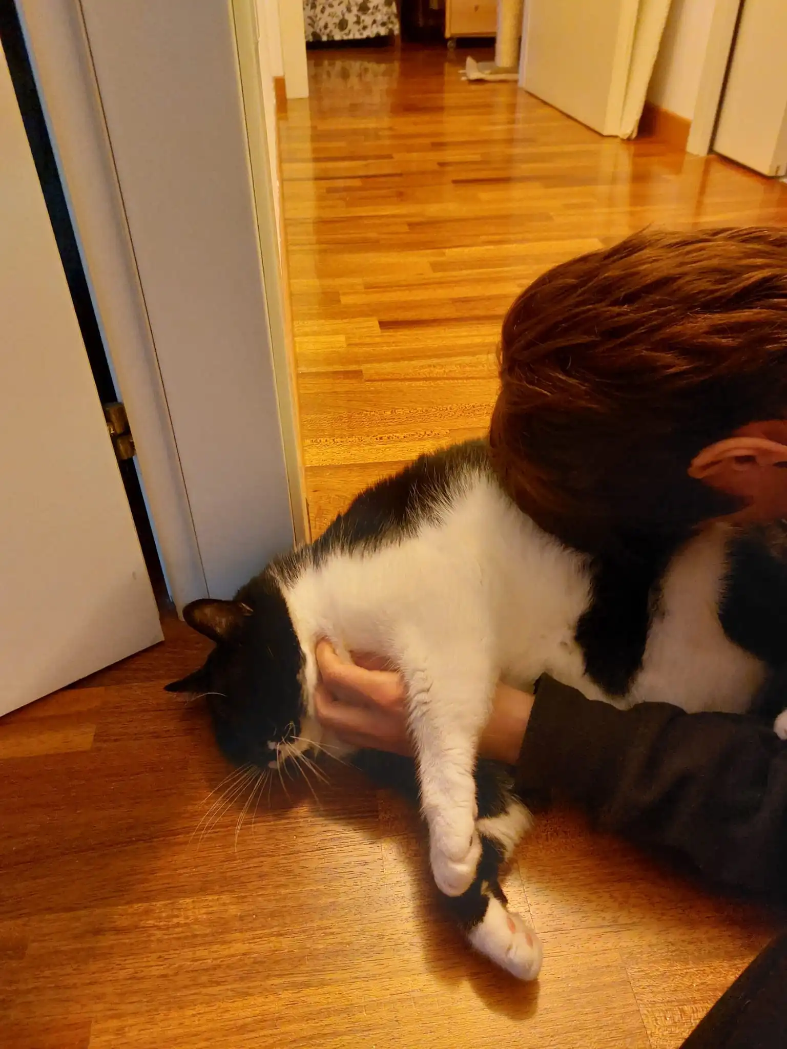 image-7