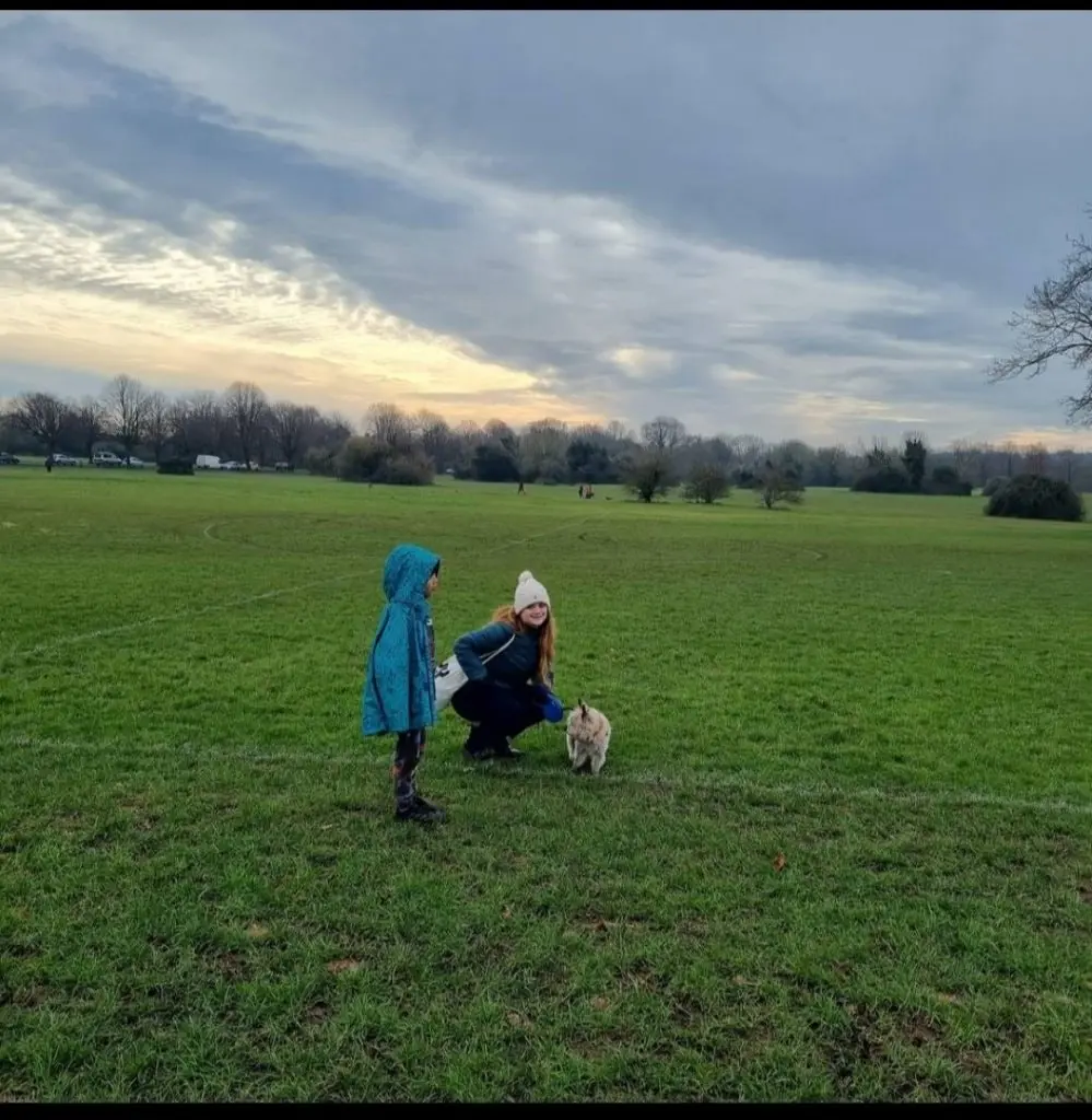 image-1