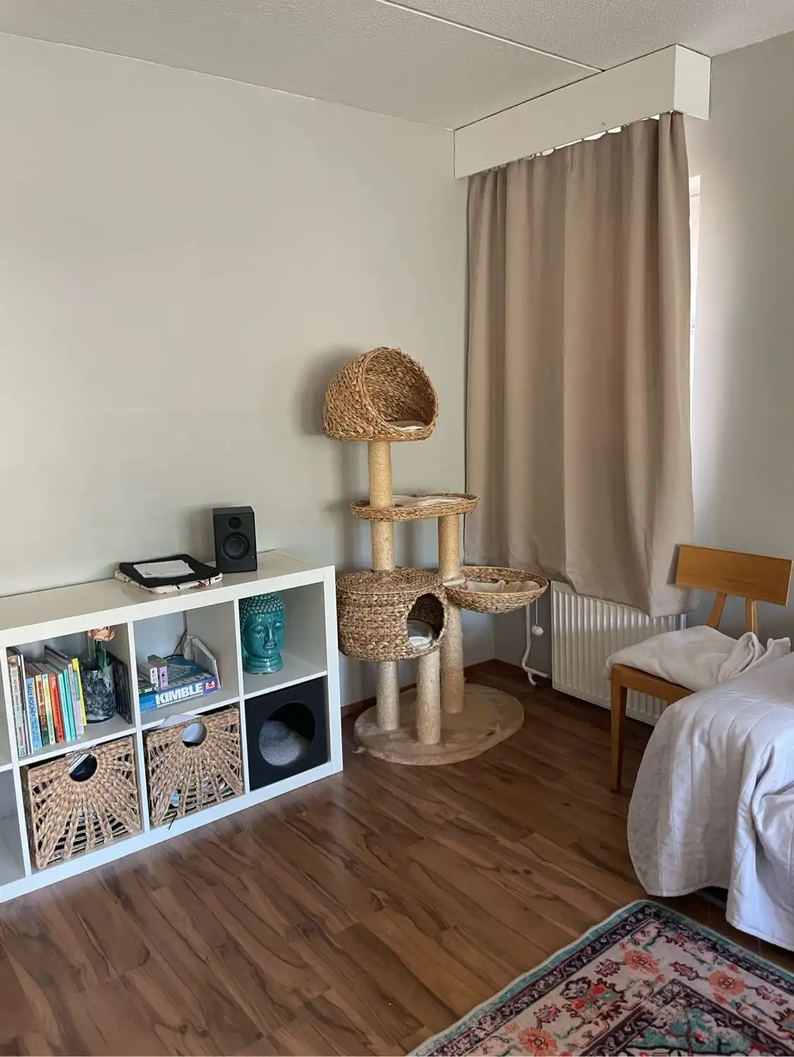 image-12