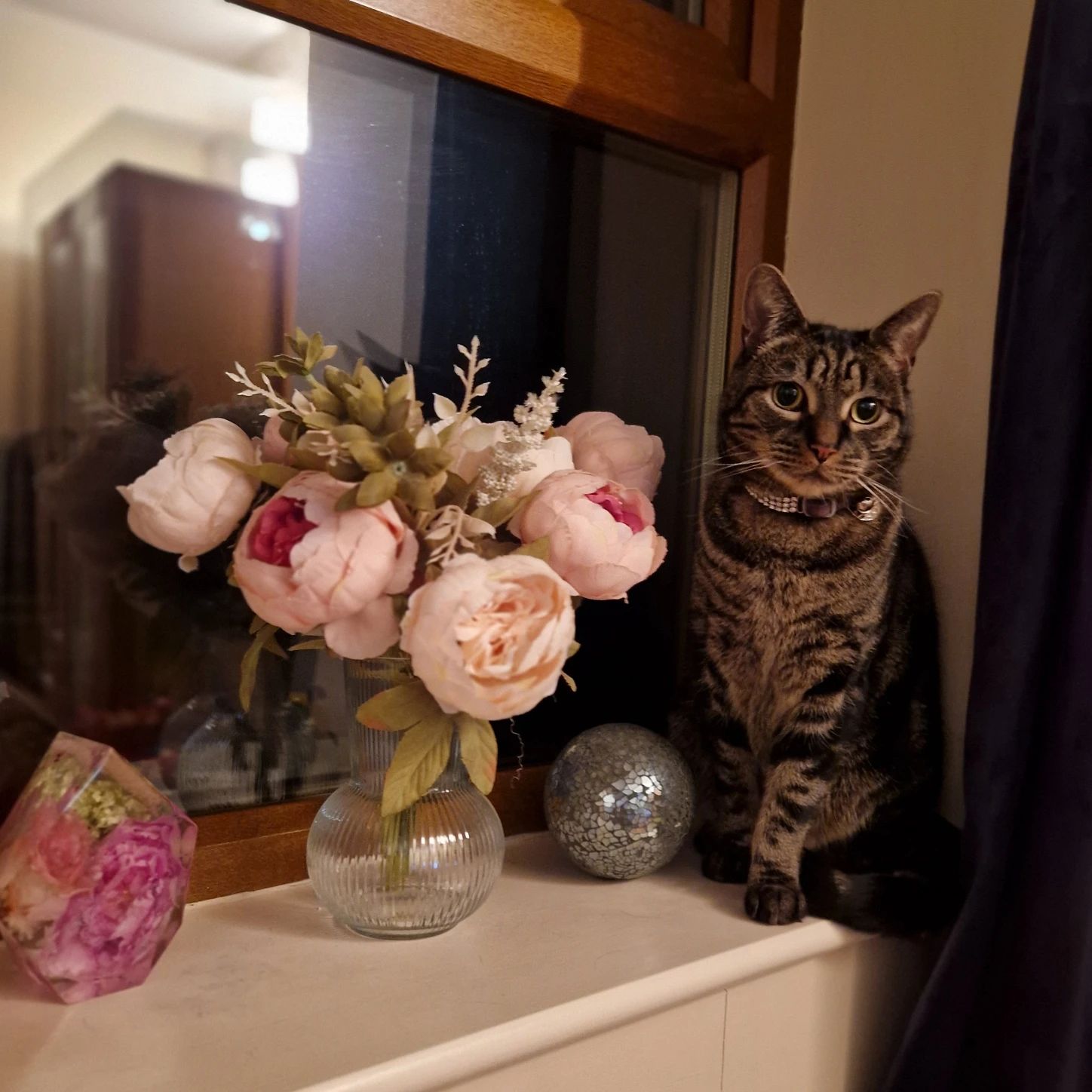 image-17