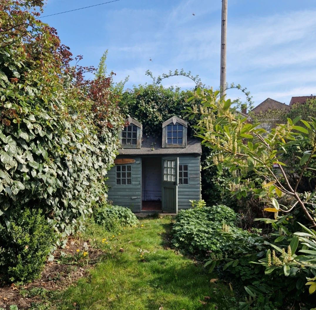 image-20