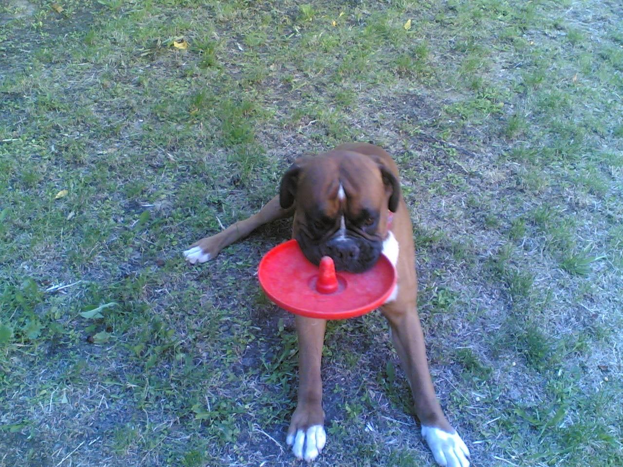 image-7