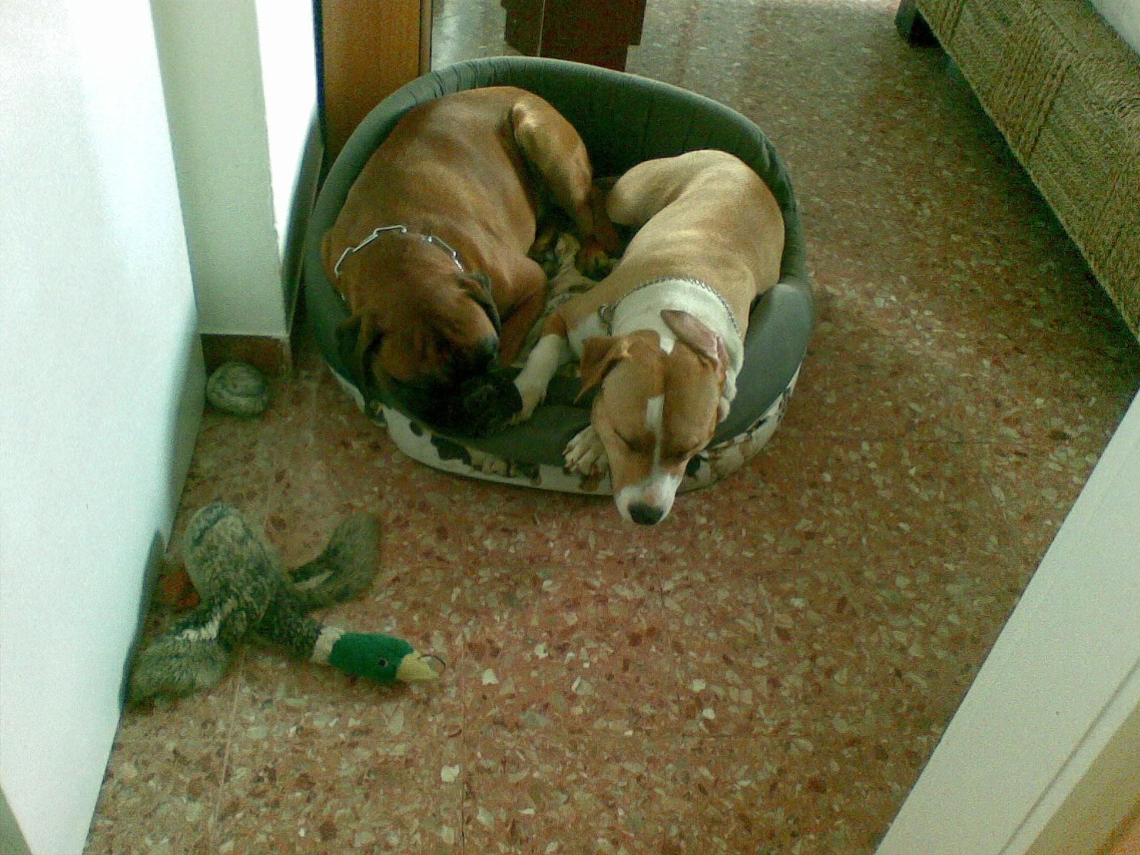 image-9