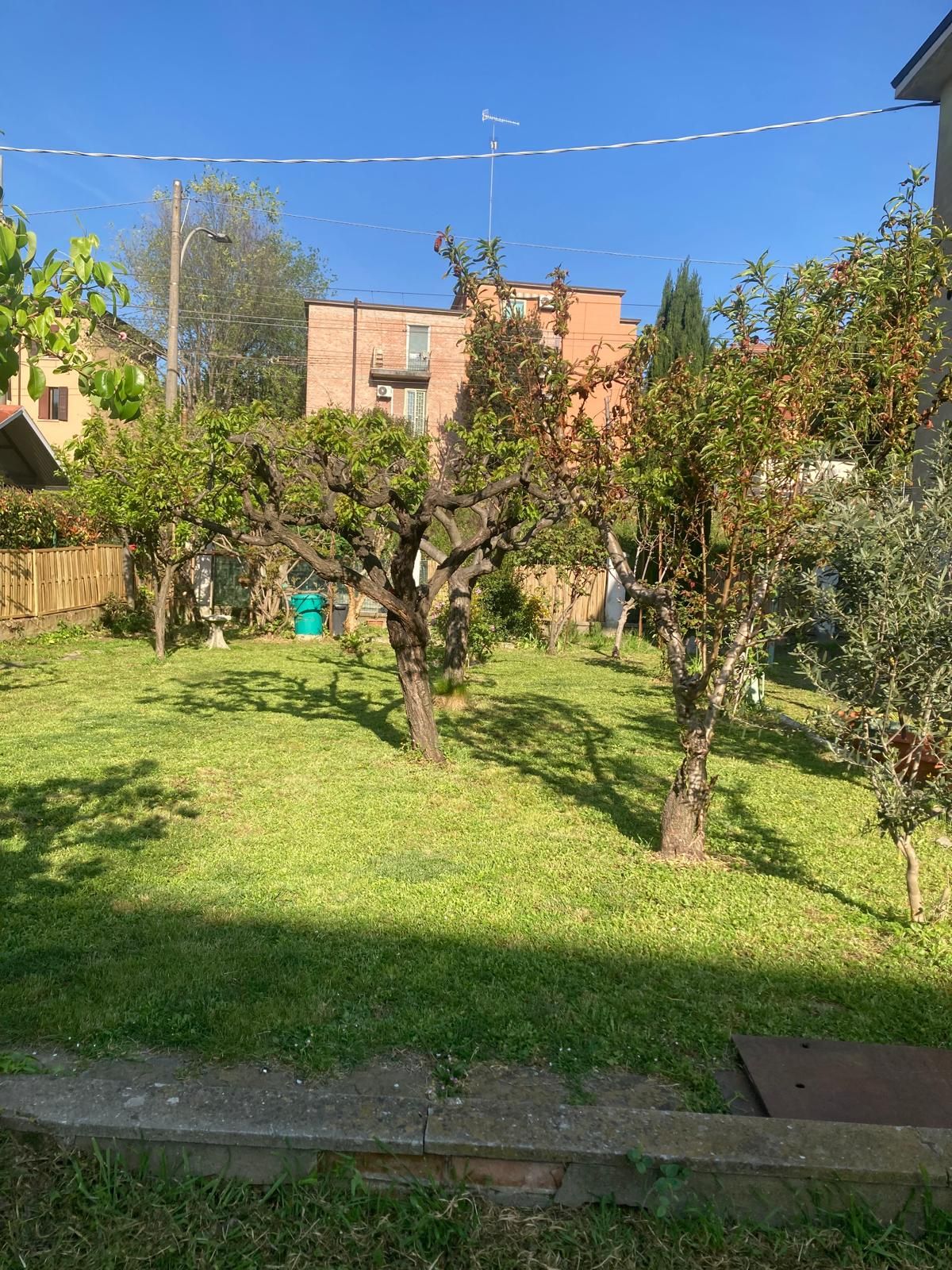 image-18