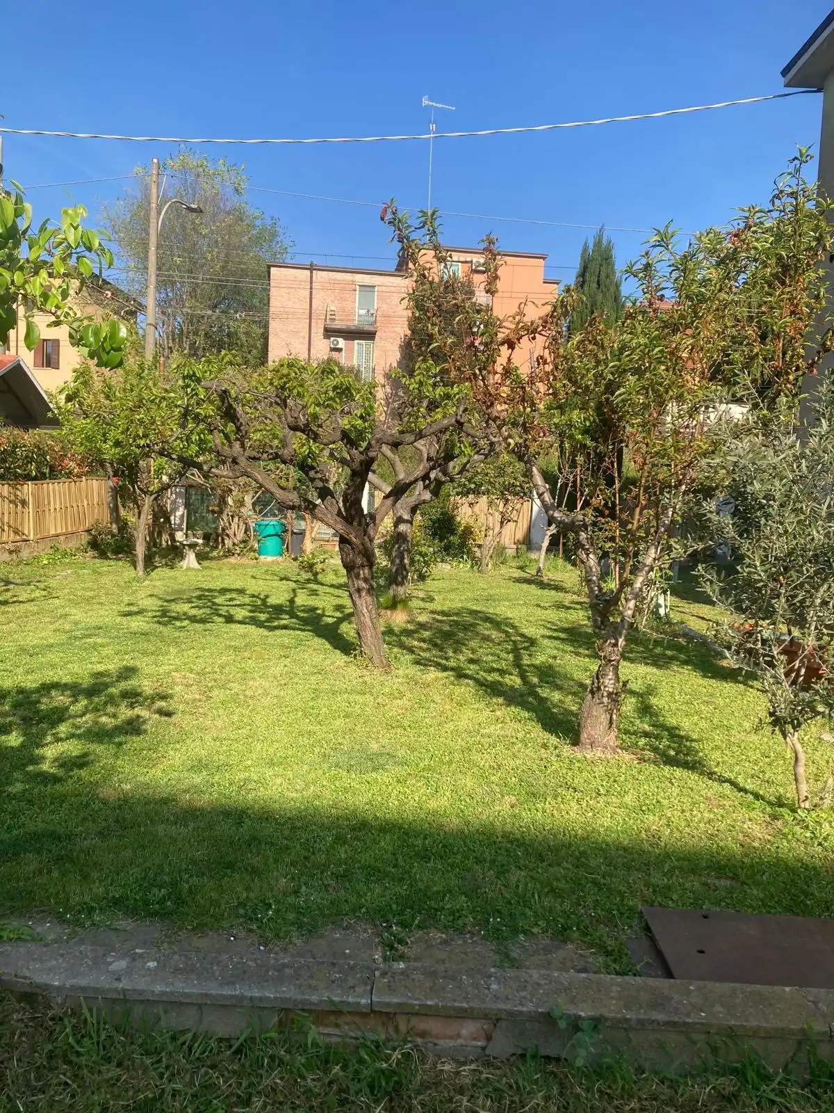 image-18