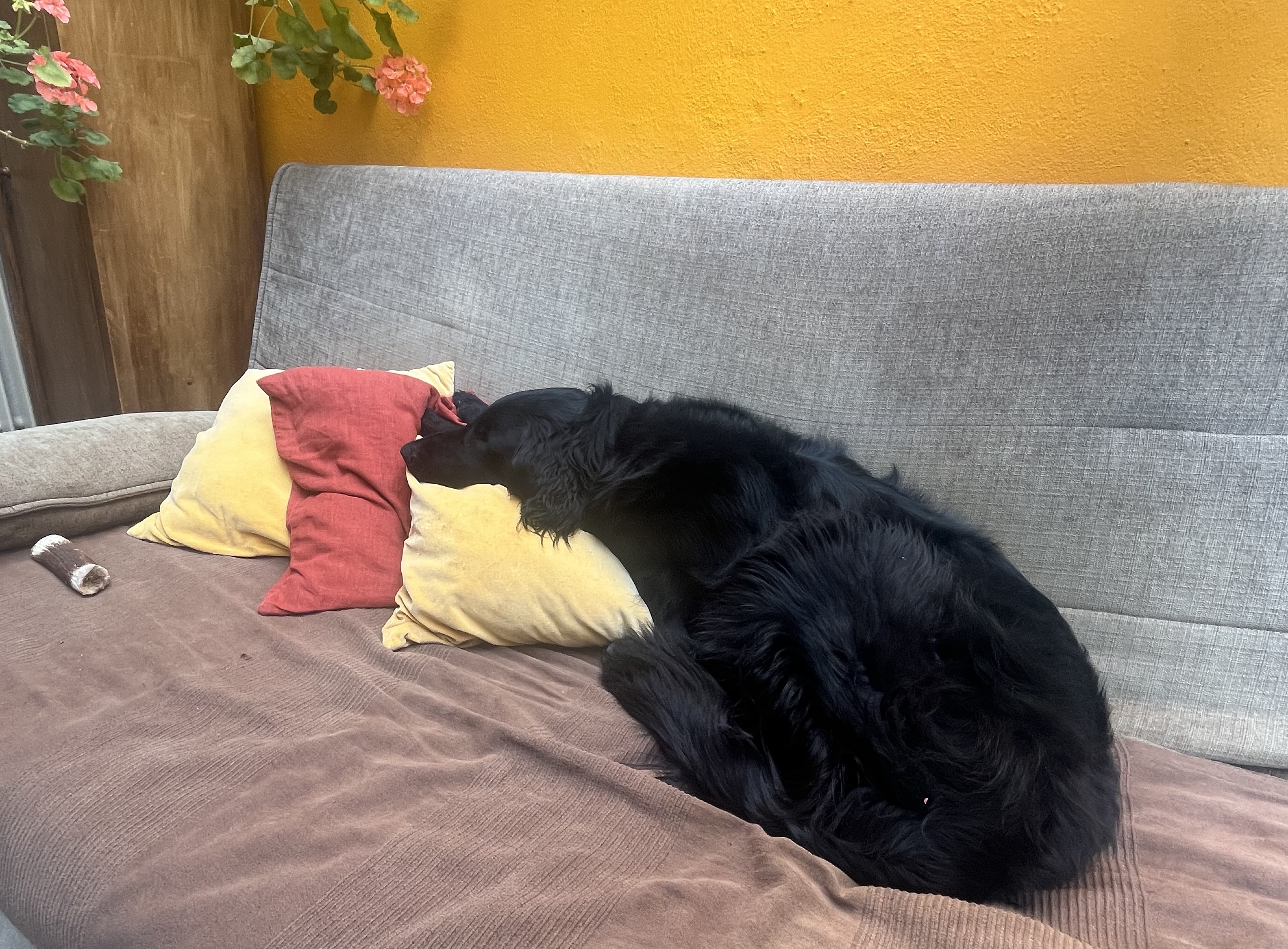 image-18