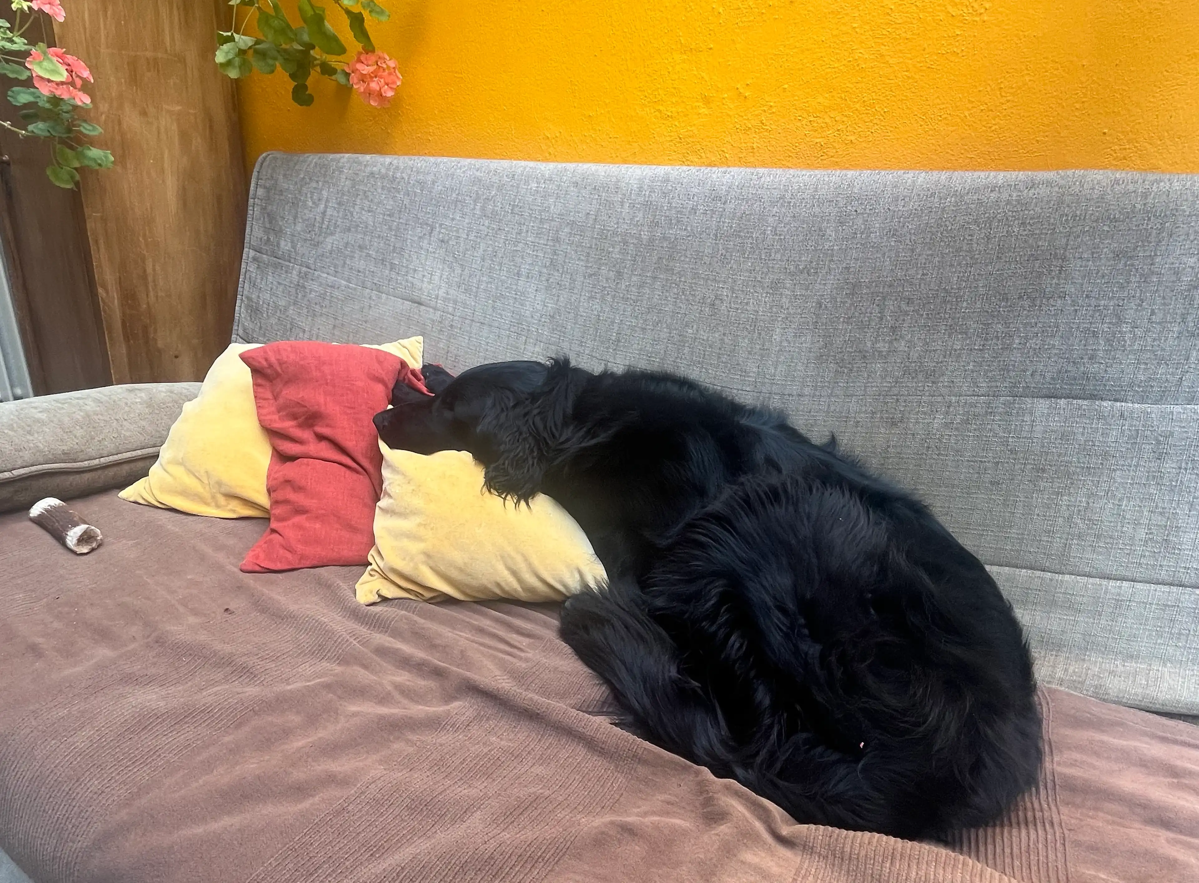 image-18