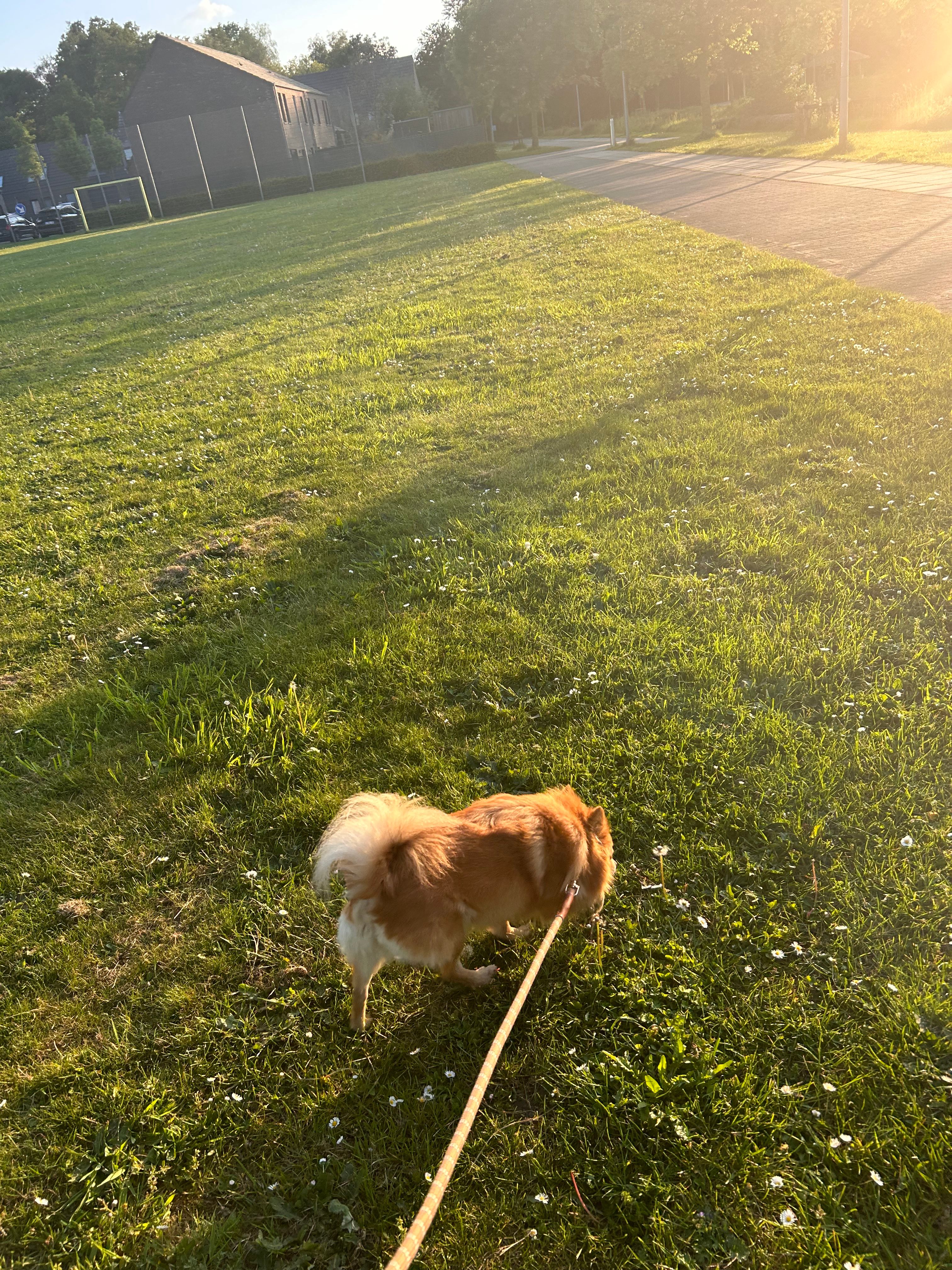 image-9