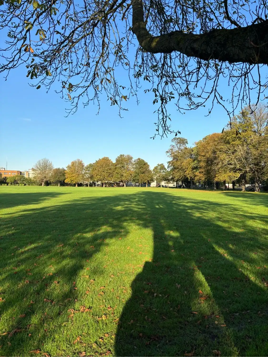 image-20