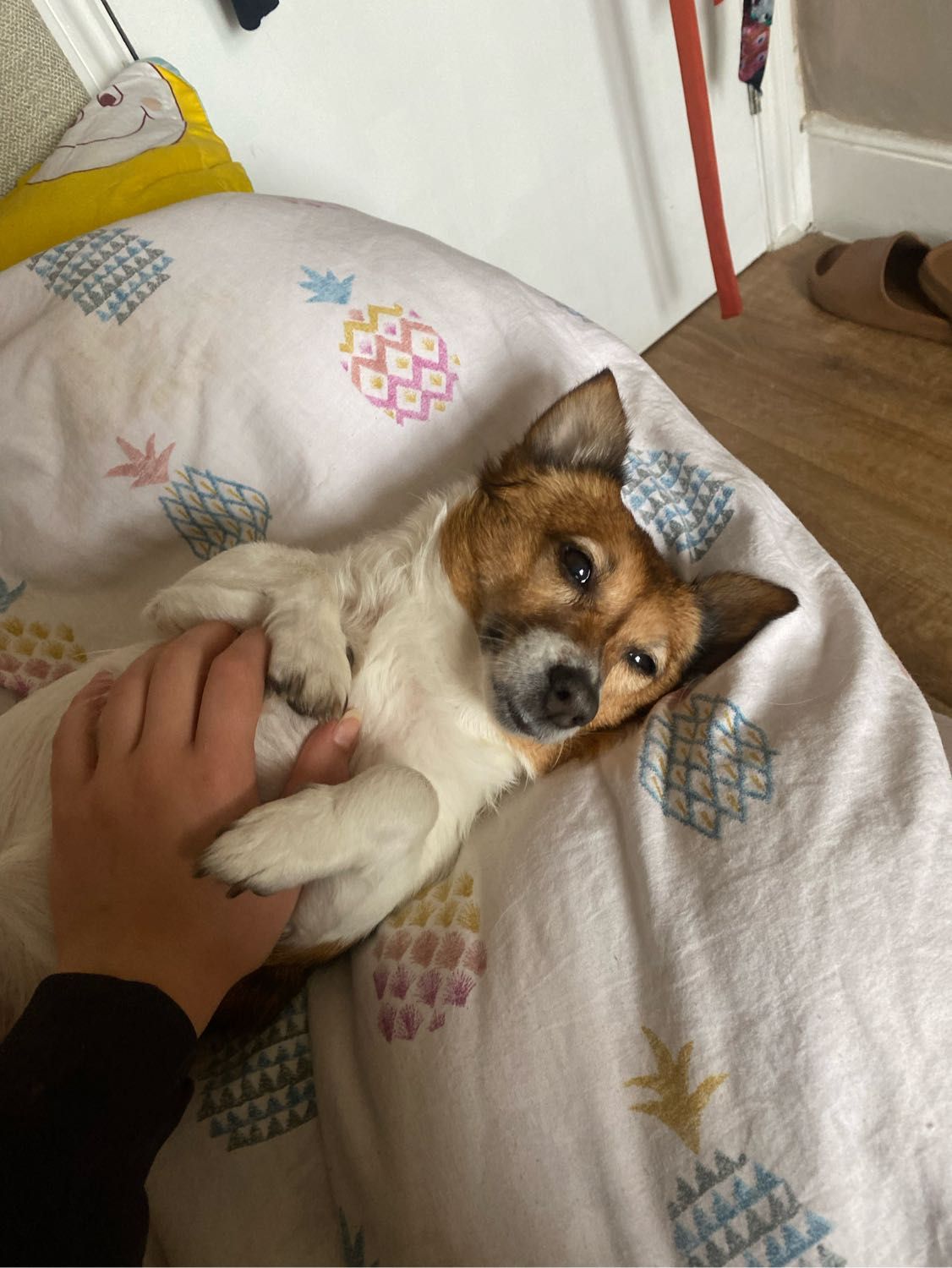 image-11