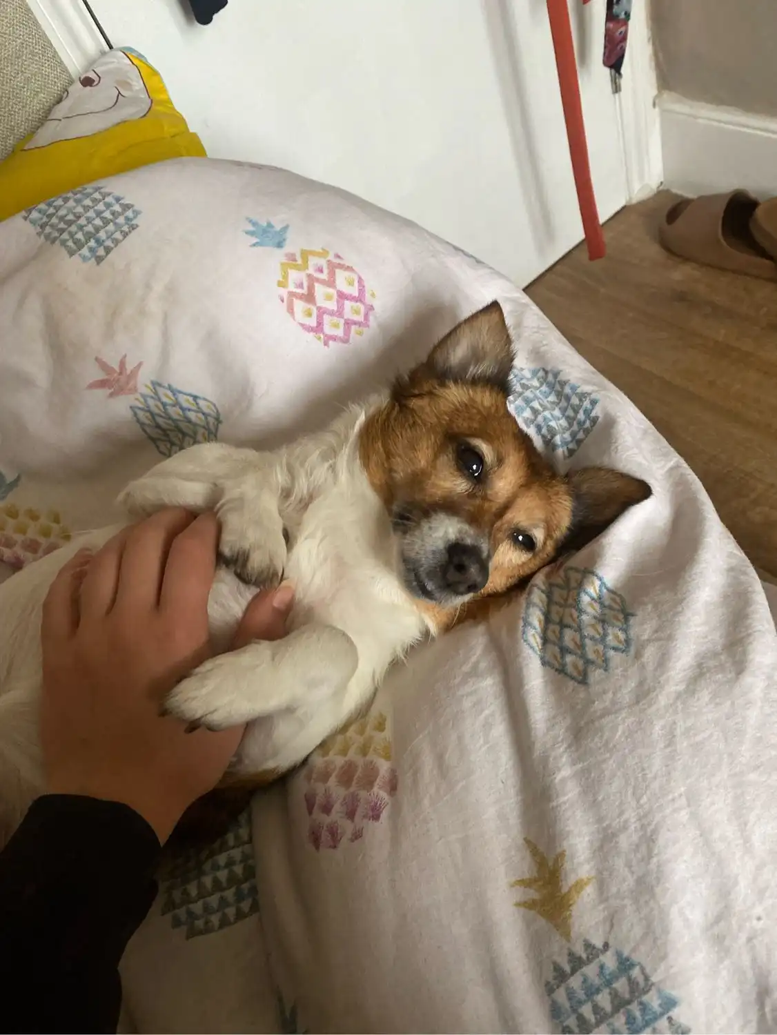 image-11
