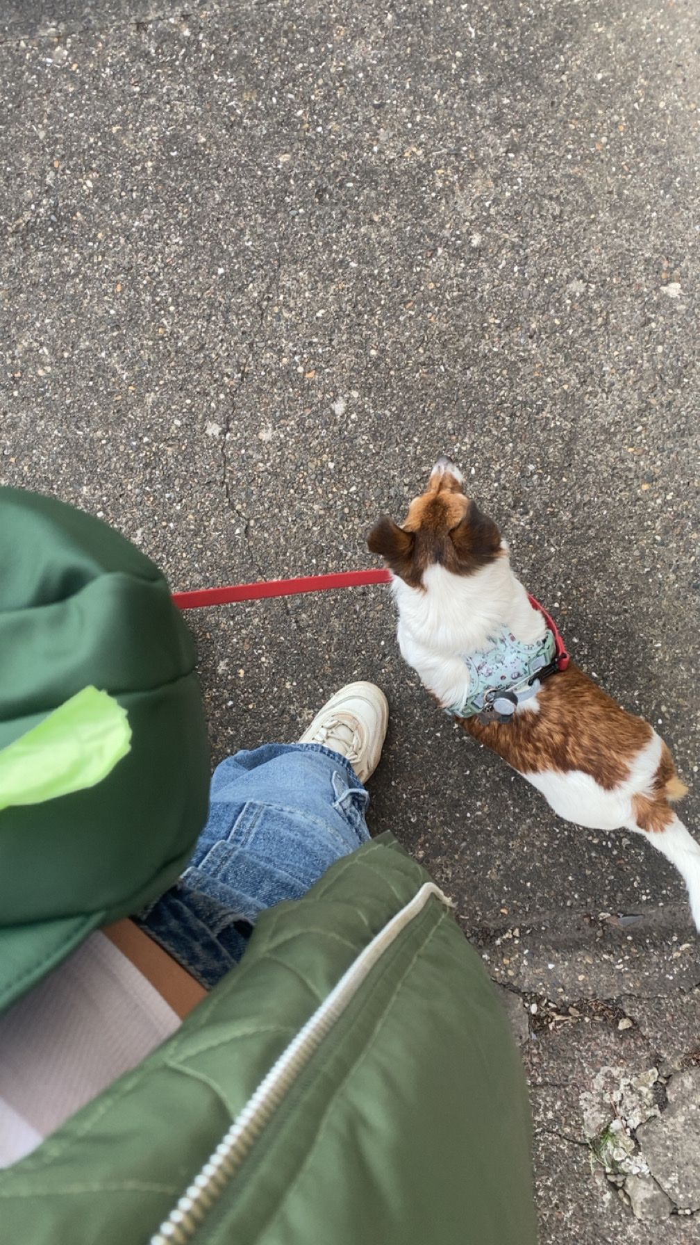 image-9