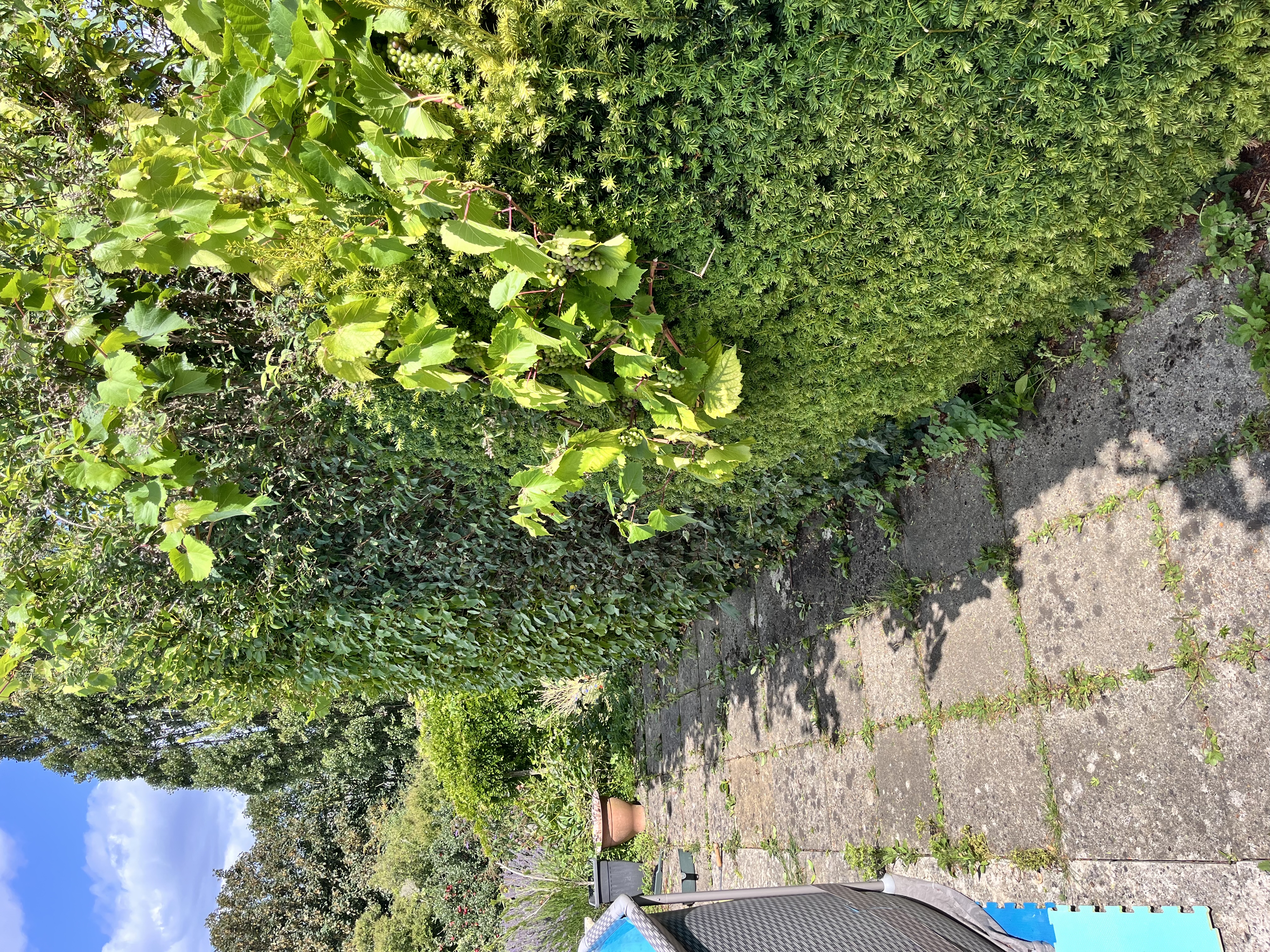 image-10