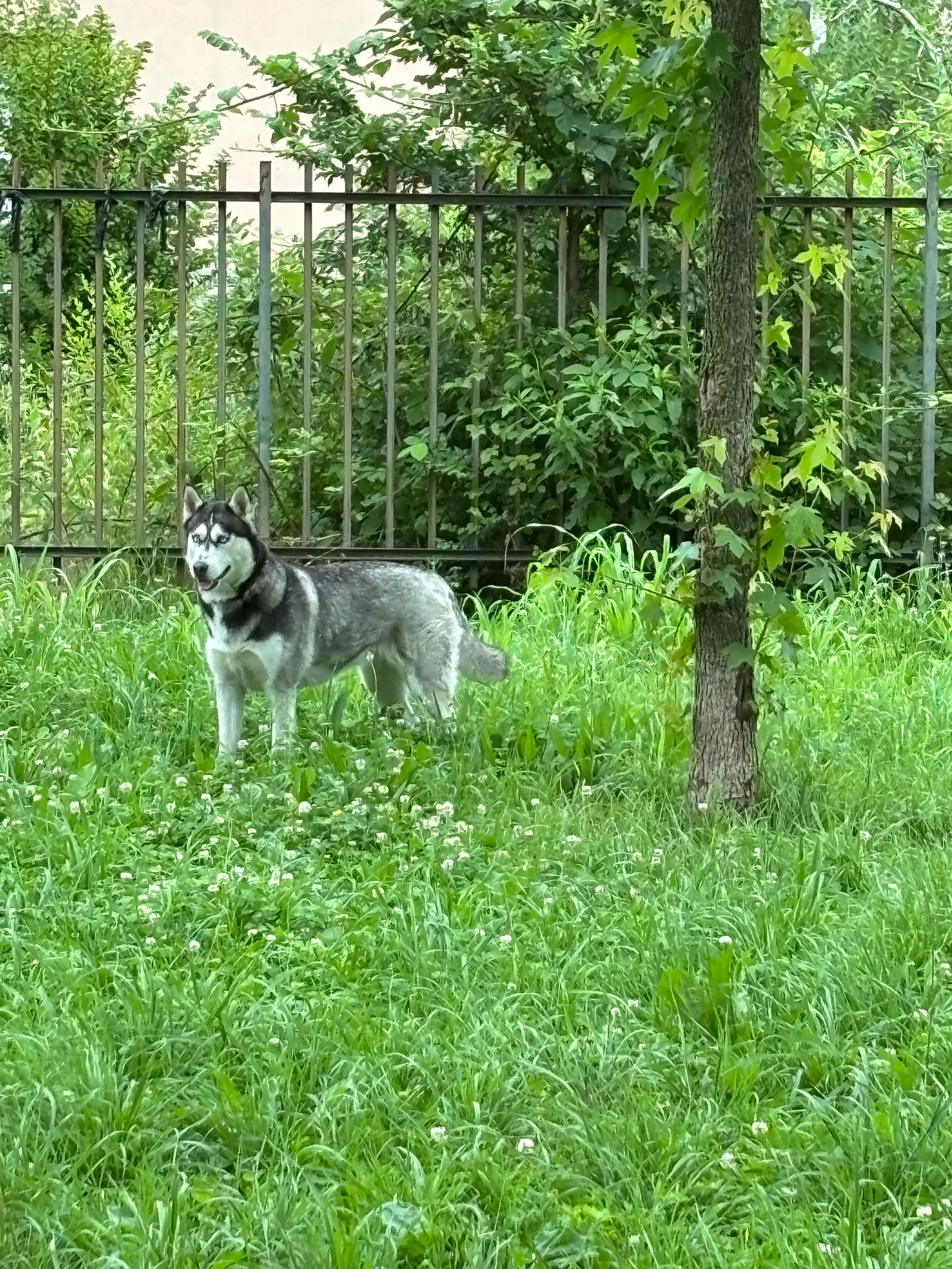 image-9