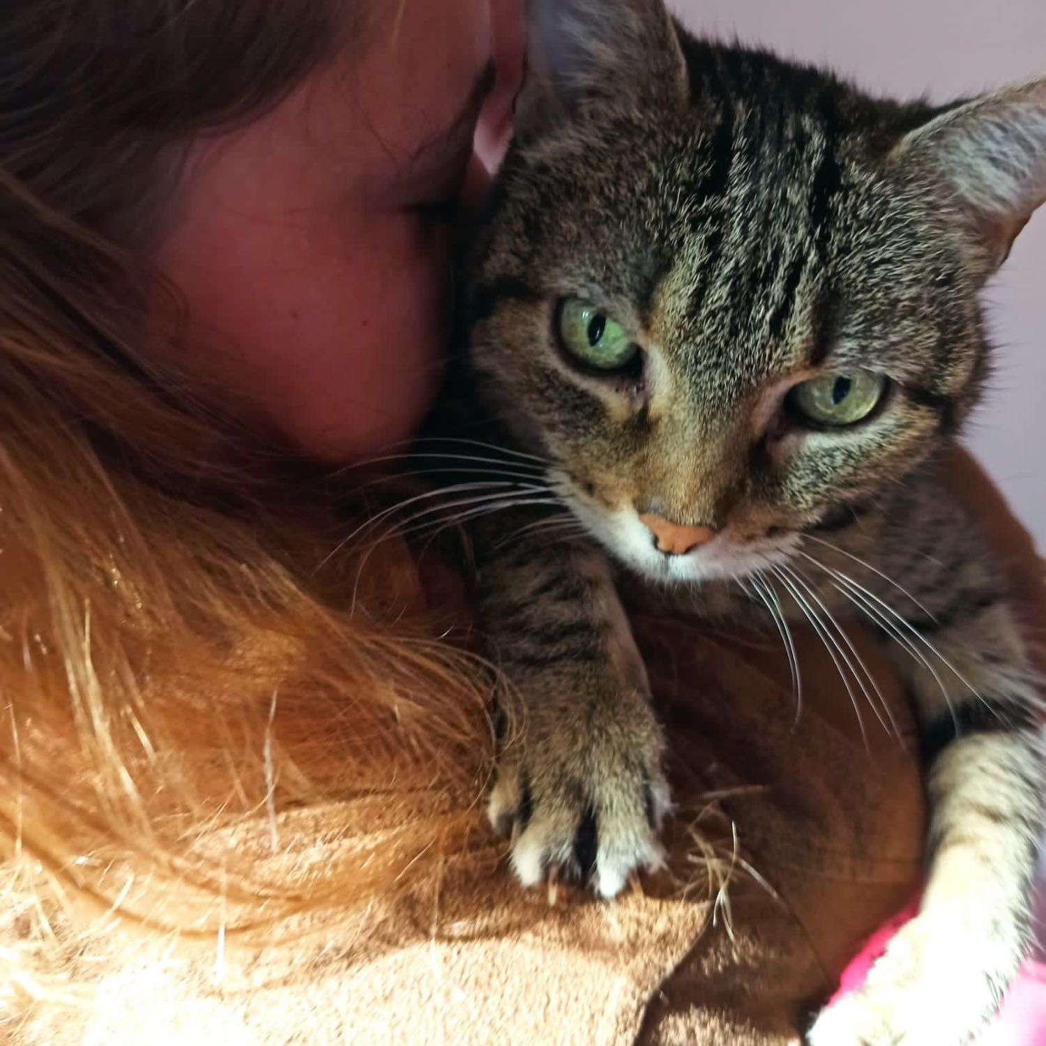 Portrait de Doudou, la cat