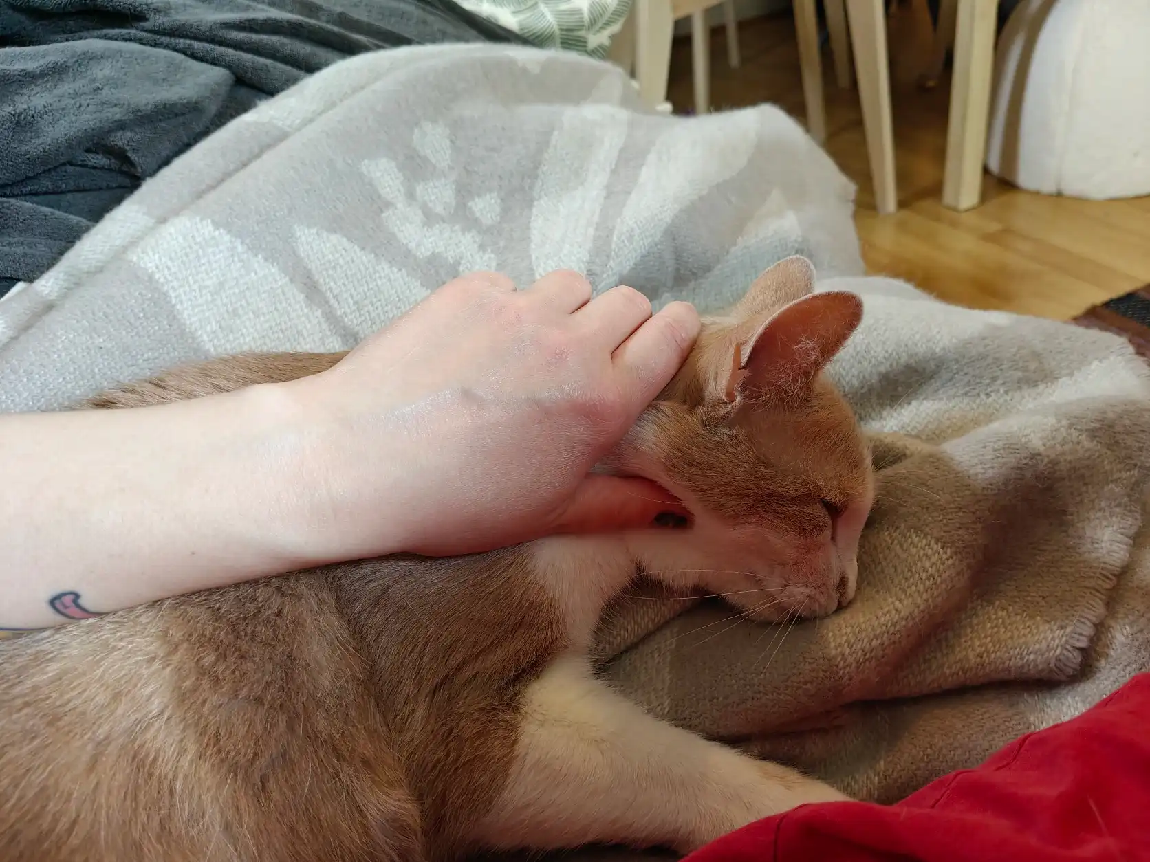 image-15