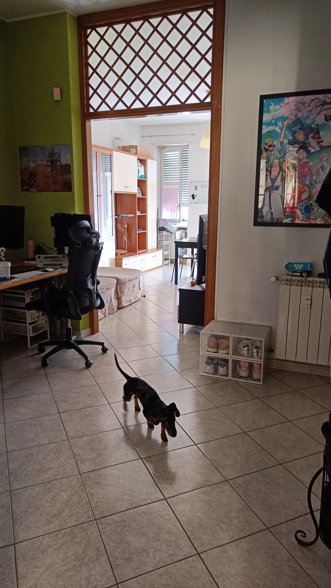 image-11