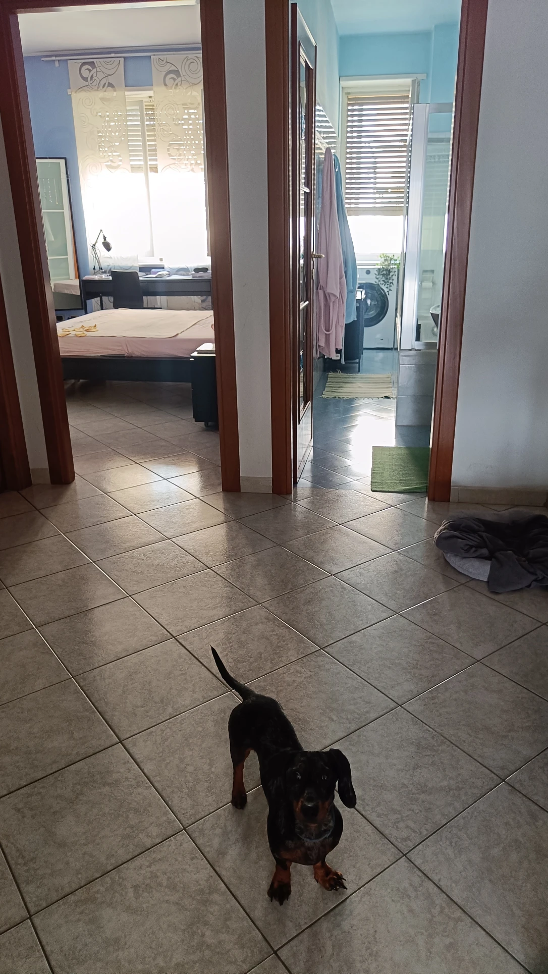 image-14