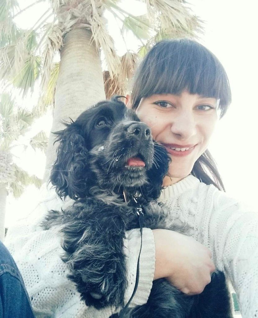 image-8