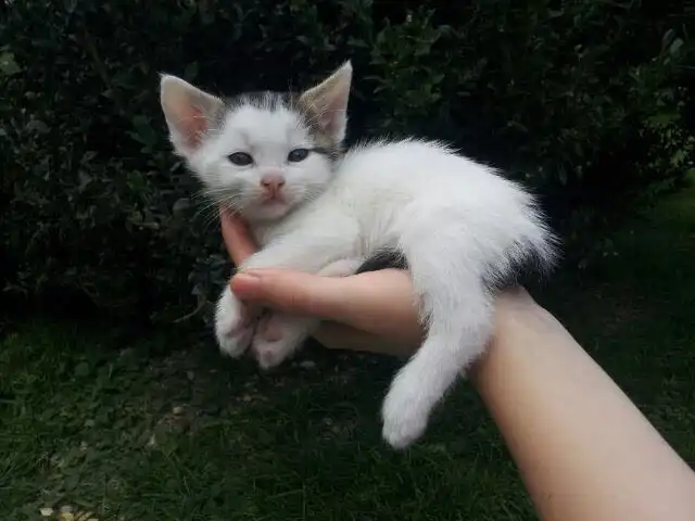 image-6
