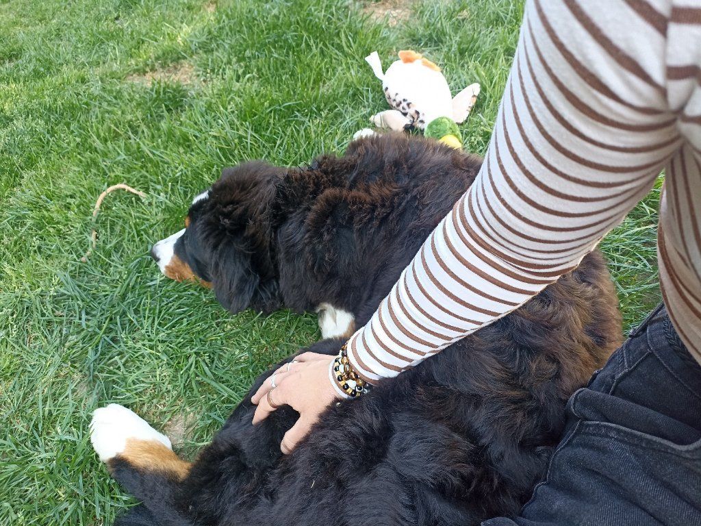 image-7