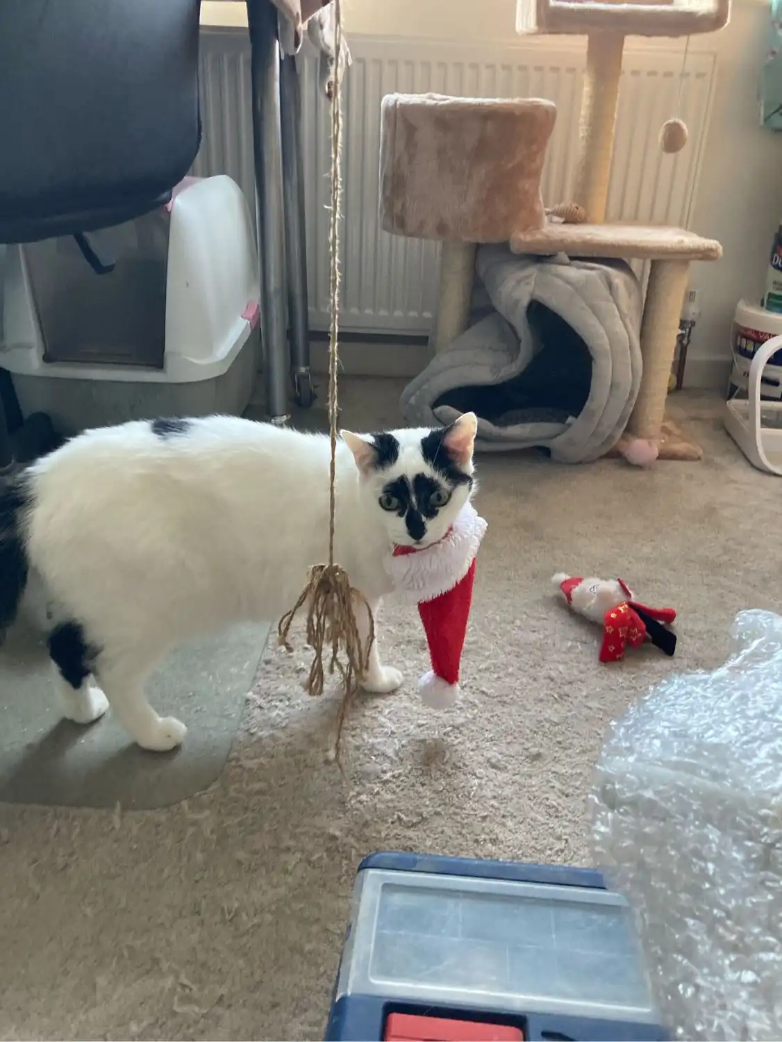 image-12